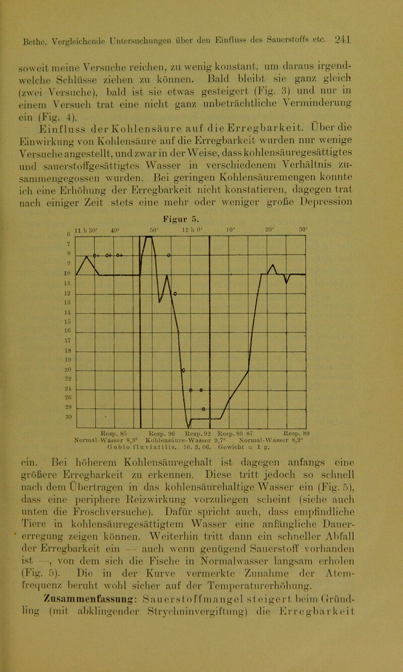 soweit meine Versuche reichen, zu wenig konstant, um daraus irgend- welche Schlüsse ziehen zu können. Bald bleibt sie ganz gleich (zwei Versuche), bald ist sie etwas gesteigert (Fig. 3) und nur in einem Versuch trat eine nicht ganz unbeträchtliche \ erminderung ein (Fig. 4). Einfluss der Kohlensäure auf die Erregbarkeit. Über die Einwirkung von Kohlensäure auf die Erregbarkeit wurden nur wenige Versuche angestellt, und zwar in der Weise, dass kohlensäuregesättigtes und sauerstoffgesättigtes Wasser in verschiedenem Verhältnis zu- sammengegossen wurden. Bei geringen Kohlensäuremengen konnte ich eine Erhöhung der Erregbarkeit nicht konstatieren, dagegen trat nach einiger Zeit stets eine mehr oder weniger große Depression Figur 5. Resp. 85 Resp. 96 Resp. 92 Resp. 80 87 Resp. 89 Normal-Wasser 8,3 Kohlensäure-Wasser 9,7 Normal-Wasser 8,2 Gobio fluviatilis. 1(S. 3. 06. Gewicht = 1 g. ein. Bei höherem Kohlensäuregehalt ist dagegen anfangs eine größere Erregbarkeit zu erkennen. Diese tritt jedoch so schnell nach dem Übertragen in das kohlensäurehaltige Wasser ein (Fig. 5), dass eine periphere Reizwirkung vorzuliegen scheint (siehe auch unten die Frosch versuche). Dafür spricht auch, dass empfindliche Tiere in kohlensäuregesättigtem Wasser eine anfängliche Dauer- ' erregung zeigen können. Weiterhin tritt dann ein schneller Abfall der Erregbarkeit ein — auch wenn genügend Sauerstoff vorhanden ist , von dem sich die Fische in Normalwasser langsam erholen (Fig. 5). Die in der Kurve vermerkte Zunahme der Atem- frequenz beruht wohl sicher auf der Temperaturerhöhung. Zusammenfassung: Sauerstoffmangel steigert beim Gründ- ling (mit abklingender Strychnin Vergiftung) die Erregbarkeit