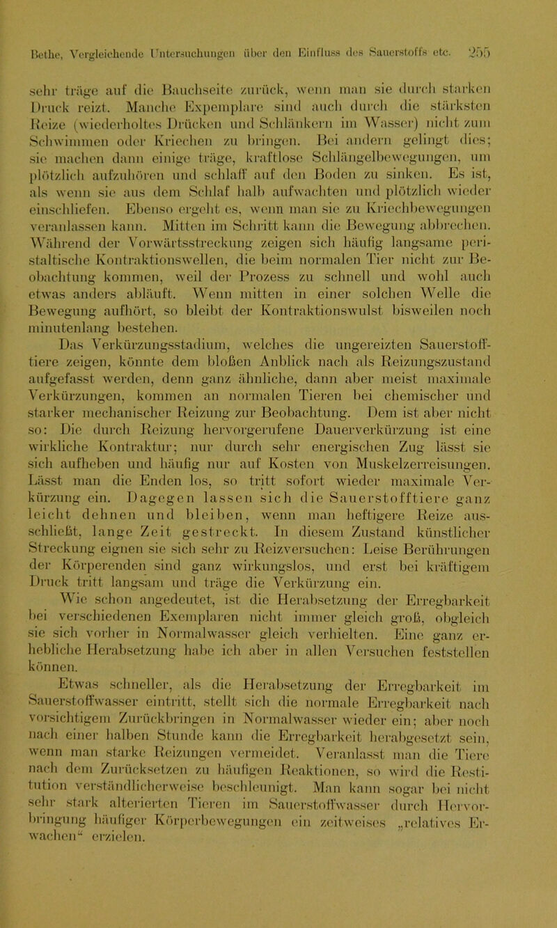 sehr träge auf die Bauchseite zurück, wenn man sie durch starken Druck reizt. Manche Expemplare sind auch durch die stärksten Reize (wiederholtes Drücken und Schlankem im Wasser) nicht zum Schwimmen oder Kriechen zu bringen. Bei andern gelingt dies; sie machen dann einige trüge, kraftlose Schlängelbewegungen, um plötzlich aufzuhören und schlaff auf den Boden zu sinken. Es ist, als wenn sie aus dem Schlaf halb aufwachten und plötzlich wieder einschliefen. Ebenso ergeht es, wenn man sie zu Kriechbewegungen veranlassen kann. Mitten im Schritt kann die Bewegung abbrechen. Während der Vorwärtsstreckung zeigen sich häufig langsame peri- staltische Kontraktionswellen, die beim normalen Tier nicht zur Be- obachtung kommen, weil der Prozess zu schnell und wohl auch etwas anders abläuft. Wenn mitten in einer solchen Welle die Bewegung aufhört, so bleibt der Kontraktionswulst bisweilen noch minutenlang bestehen. Das Verkürzungsstadium, welches die ungereizten Sauerstoff- tiere zeigen, könnte dem bloßen Anblick nach als Reizungszustand aufgefasst werden, denn ganz ähnliche, dann aber meist maximale Verkürzungen, kommen an normalen Tieren bei chemischer und starker mechanischer Reizung zur Beobachtung. Dem ist aber nicht so: Die durch Reizung hervorgerufene Dauerverkürzung ist eine wirkliche Kontraktur; nur durch sehr energischen Zug lässt sie sich aufheben und häufig nur auf Kosten von Muskelzerreisungen. Lässt man die Enden los, so tritt sofort wieder maximale Ver- kürzung ein. Dagegen lassen sich die Sauerstofftiere ganz leicht dehnen und bleiben, wenn man heftigere Reize aus- schließt, lange Zeit gestreckt. In diesem Zustand künstlicher Streckung eignen sie sich sehr zu Reizversuchen: Leise Berührungen der Körperenden sind ganz wirkungslos, und erst bei kräftigem Druck tritt langsam und träge die Verkürzung ein. Wie schon angedeutet, ist die Herabsetzung der Erregbarkeit bei verschiedenen Exemplaren nicht immer gleich groß, obgleich sie sich vorher in Normalwasser gleich verhielten. Eine ganz er- hebliche Herabsetzung habe ich aber in allen Versuchen feststellen können. Etwas schneller, als die Herabsetzung der Erregbarkeit im Sauerstoffwasser eintritt, stellt sich die normale Erregbarkeit nach vorsichtigem Zurückbringen in Normalwasser wieder ein; aber noch nach einer halben Stunde kann die Erregbarkeit herabgesetzt sein, wenn man starke Reizungen vermeidet. Veranlasst man die Tiere nach dem Zurücksetzen zu häufigen Reaktionen, so wird die Resti- tution verständlicherweise beschleunigt. Man kann sogar bei nicht sehr stark alterierten Tieren im Sauerstoffwasser durch Hervor- bringung häufiger Körperbewegungen ein zeitweise« „relatives Er- wachen“ erzielen.