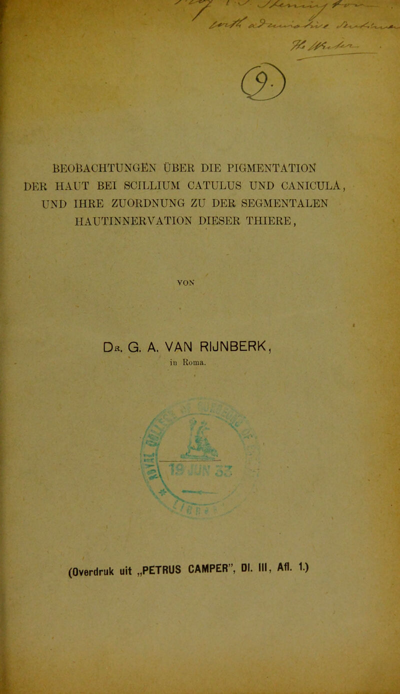 BEOBACHTUNGEN ÜBER DIE PIGMENTATION DER HAUT BEI SCILLIUM CATULUS UND CANICULA, UND IHRE ZUORDNUNG ZU DER SEGMENTALEN HAUTINNERVATION DIESER THIERE, VOK I Da. G. A. VAN RIJNBERK, in Roma. \ I ■fr' (Ovordmk uit „PETRUS CAMPER , Dl. III, Afl. 1.)