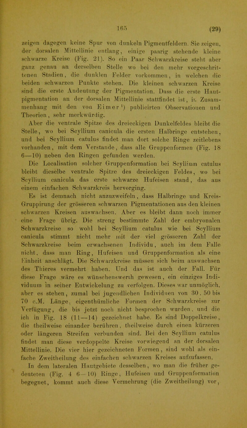 zeigen dagegen keine Spur von dnnkeln Pigmentfeldern. Sie zeigen, der dorsalen ^^ittellinie entlang, einige paarig stehende kleine schwarze Kreise (Pig. 21). So ein Paar Schwarzkreise steht aber ganz genau an derselben Stelle wo bei den mehr vorgeschrit- tcneti Stadien, die dunklen Felder Vorkommen, in welchen die beiden schwarzen Punkte stehen. Die kleinen schwarzen Kreise sind die erste Andeutung der Pigmentation. Dass die erste llant- pigmentation an der dorsalen Mittellinie stattfindet ist, ii. Zusam- menhaug mit den von Eimer ') piiblicirten Observationen und Theorien , sehr merkwürdig. Aber die ventrale Spitze des dreieckigen Dunkelfeldes bleibt die Stelle, wo bei Scyllium canicula die ersten Halbringe entstehen, und bei Scyllium catulus findet man dort solche Ringe zeitlebens vorhanden, mit dem Verstände, dass alle Gruppenformen (Fig. 18 6—10) neben den Ringen gefunden werden. Die Localisation solcher Gruppenformation bei Scyllium catulus bleibt dieselbe ventrale Spitze des dreieckigen Feldes, wo bei Scyllium canicula das erste schwarze Hufeisen stand, das aus einem einfachen Schwarzkreis hervorging. Es ist demnach nicht anzuzweifeln, dass Halbringe und Kreis- Gruppirung der grösseren schwarzen Pigmentationen aus den kleinen schwarzen Kreisen auswachsen. Aber es bleibt dann noch immer eine Frage übrig. Die streng bestimmte Zahl der embryonalen Schwarzkreise so wohl bei Scyllium catulus wie bei Scyllium canicula stimmt nicht mehr mit der viel grösseren Zahl der Schwarzkreise beim erwachsenen Individu, auch im dem Falle nicht, dass man Ring, Flufeisen und Gruppenformation als eine Kinheit anschlägt. Die Schwarzkreise müssen sich heim auswachsen des Thieres vermehrt haben. Und das ist auch der Fall. Für diese Frage wäre es wünschenswerih gewesen, ein einziges Indi- viduum in seiner Entwickelung zu verfolgen. Dieses war unmöglich, aber es stehen, zumal bei jugendlichen Individuen von 80. 50 bis 70 c.M. Länge, eigenthümliche Formen der Schwarzkreise zur Verfügung, die bis jetzt noch nicht besprochen wurden, und die ich in Fig. 18 (11 —14) gezeichnet habe. Es sind Doppelkreise, die theilweise einander berühren , theilweise durch einen kürzeren oder längeren Streifen verbunden sind. Bei den Scyllium catulus findet man diese verdoppelte Kreise vorwiegend an der dorsalen Mittellinie. Die vier hier gezeichneten Formen, sind wohl als ein- fache Zweitheilung des einfachen schwarzen Kreises aufzufassen. In dem lateralen Hautgebiete desselben , wo man die früher ge- deuteten (Fig. 4 6—10) Ringe, Hufeisen und Gruppenformation begegnet, kommt auch diese Vermehrung (die Zweitheilung) vor,