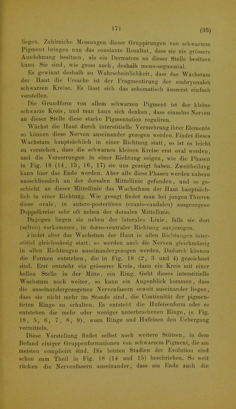 171 liegen, /ahlreiclie Messungen dieser Gruppirungen von scliwarzeni Pigment bringen nun das constante Resultat, dass sie nie grössere Ausdehnung besitzen, als ein Dermatoni an dieser Stelle besitzen kann Sie sind, wie gross auch, deshalb inono-segnienlal. Es gewinnt deshalb au Wahr.scheiulichkeit, dass das Wachstum der Haut die Ursache ist der Pragnientirung der embryonalen schwarzen Kreise. Es lässt sich das schematisch äusserst einfach vorstellen. Die Grundform von allem schwarzen Pigment ist der kleine schwarze Kieis, und inan kann sich denken , dass einzelne Nerven an dieser Stelle diese starke Pigmentation reguliren. Wächst die Haut durch interstitielle Vermehrung ihrer Elemente so können diese Nerven auseinander gezogen werden. Findet dieses Wachstum hauptsächlich in einer Richtung statt, so ist es leicht zu verstehen, dass die schwarzen kleinen Kreise erst oval werden, und die Verzerrungen in einer Richtung zeigen, wie die Phasen in Fig. 18 (14, 15, 16, 17) sie uns gezeigt haben. Zweitheilung kann hier das Ende werden. Aber alle diese Phasen werden nahezu ausschliesslich an der dorsalen Mittellinie gefunden, und es ge- schieht an dieser Mittellinie das Wachsthum der Haut hauptsäch- lich in einer Richtung. Wie gesagt findet man bei jungen Thieren diese ovale, in antero-posteriören (cranio-caudalen) ausgezogene Doppelkreise sehr oft neben der dorsalen Mittellinie. Dagegen liegen sie neben der lateralen Linie, falls sie dort (selten) Vorkommen, in dorso-ventraler Richtung ausgezogen. Findet aber das Wachstum der Haut in allen Riclitungmi inter- stitiel gleichmässig statt, so werden auch die Nerven gleichmässig in allen Richtungen auseinaudergezogen werden. Dadurch können die Formen entstehen, die in Fig. 18 (2, 3 und 4) gezeichnet sind. Erst entsteht ein grösserer Kreis, dann ein Kreis mit einer hellen Stelle in der Mitte, ein Ring. Geht dieses interstitielle Wachstum noch weiter, so kann ein Augenblick kommen, dass die auseinandergezogenen Nervenfasern soweit auseinander liegen, dass sie nicht mehr im Stande sind , die Continuität der pigmen- tirten Ringe zu erhalten. Es entsteht die Hufeisenform oder es entstehen die mehr oder weniger unterbrochenen Ringe, (s. Fig. 18, 5, 6, 7, 8, 9), wozu Ringe und Hufeisen den Uebergang vermitteln. Diese Vorstellung findet selbst noch weitere Stützen, in dem Befund einiger Gruppenformationen von schwarzem Pigment, die am meisten complicirt äind. Die] letzten Stadien der Evolution sind schon zum Tlieil in Fig. 18 (14 und 15) beschrieben. So weit rücken die Nervenfasern auseinander, dass am Ende auch die