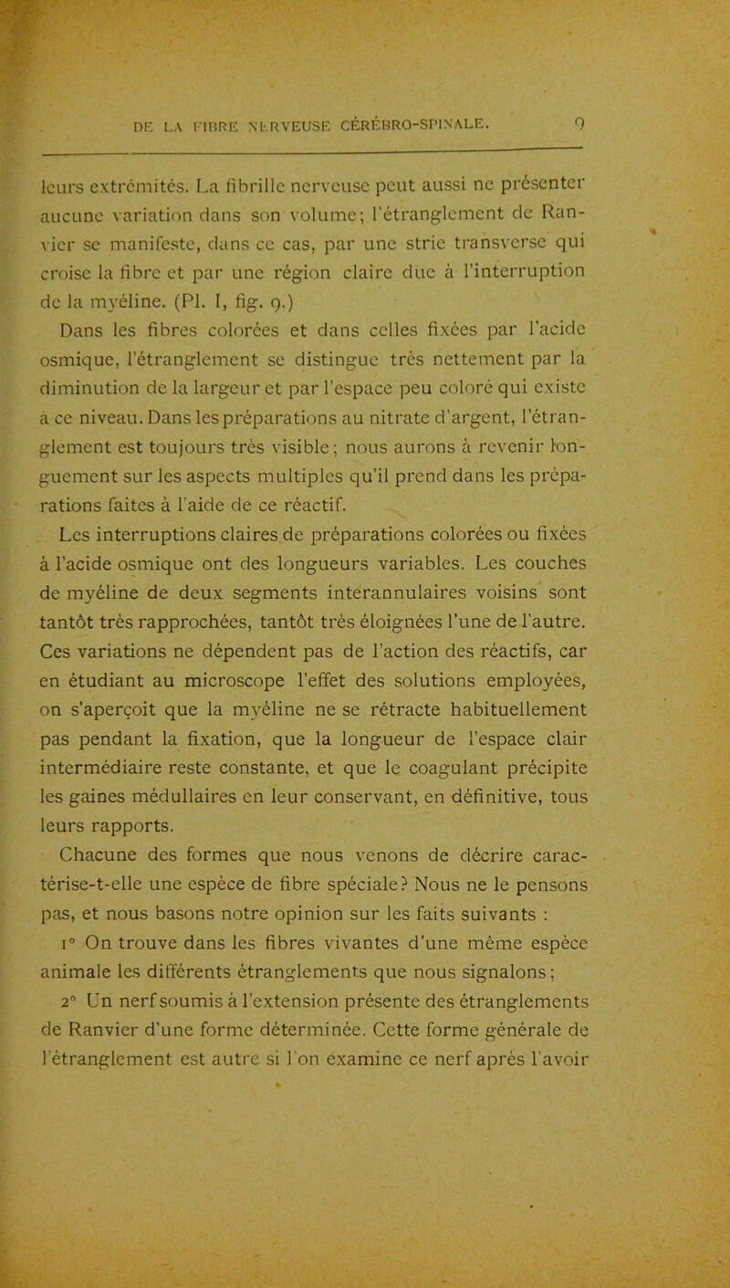 leurs extrémités. La fibrille nerveuse peut aussi ne présenter aucune variation dans son volume; l’étranglement de Ran- vier se manifeste, dans ce cas, par une strie transverse qui croise la fibre et par une région claire duc à l’interruption de la myéline. (PI. I, fig. 9.) Dans les fibres colorées et dans celles fixées par l’acide osmique, l’étranglement se distingue très nettement par la diminution de la largeur et par l’espace peu coloré qui existe à ce niveau. Dans les préparations au nitrate d’argent, l’étran- glement est toujours très visible; nous aurons à revenir lon- guement sur les aspects multiples qu’il prend dans les prépa- rations faites à l'aide de ce réactif. Les interruptions claires de préparations colorées ou fixées à l’acide osmique ont des longueurs variables. Les couches de myéline de deux segments interannulaires voisins sont tantôt très rapprochées, tantôt très éloignées l’une de l’autre. Ces variations ne dépendent pas de l’action des réactifs, car en étudiant au microscope l’effet des solutions employées, on s’aperçoit que la myéline ne se rétracte habituellement pas pendant la fixation, que la longueur de l’espace clair intermédiaire reste constante, et que le coagulant précipite les gaines médullaires en leur conservant, en définitive, tous leurs rapports. Chacune des formes que nous venons de décrire carac- térise-t-elle une espèce de fibre spéciale? Nous ne le pensons pas, et nous basons notre opinion sur les faits suivants : 1° On trouve dans les fibres vivantes d’une même espèce animale les différents étranglements que nous signalons; 2“ L'n nerf soumis à l’extension présente des étranglements de Ranvier d’une forme déterminée. Cette forme générale de l’étranglement est autre si l'on examine ce nerf après l’avoir