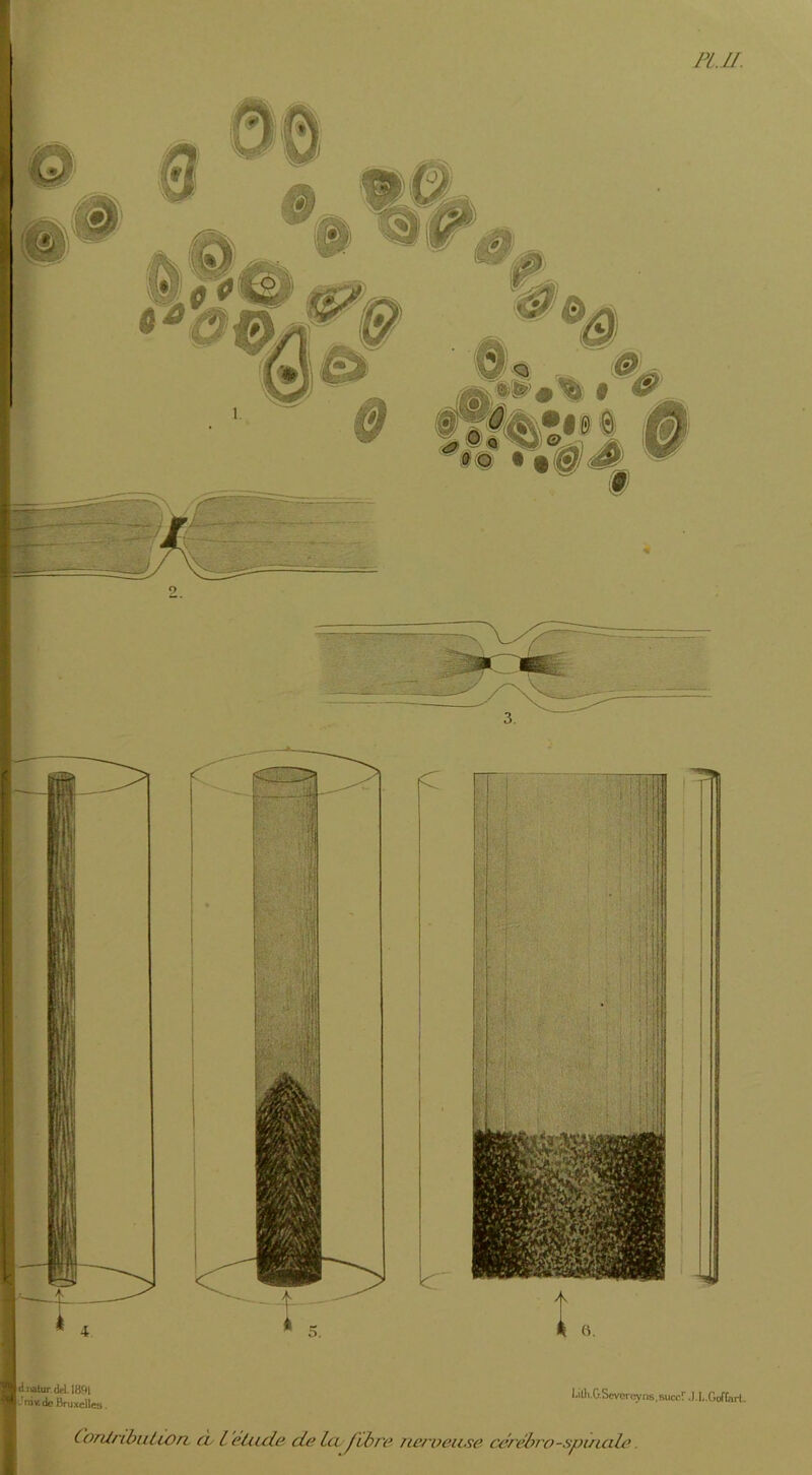 PLU. ConlnbiUion cv L éticde cLe Ici^ïbn^ nerveuse cérébro-spinale.
