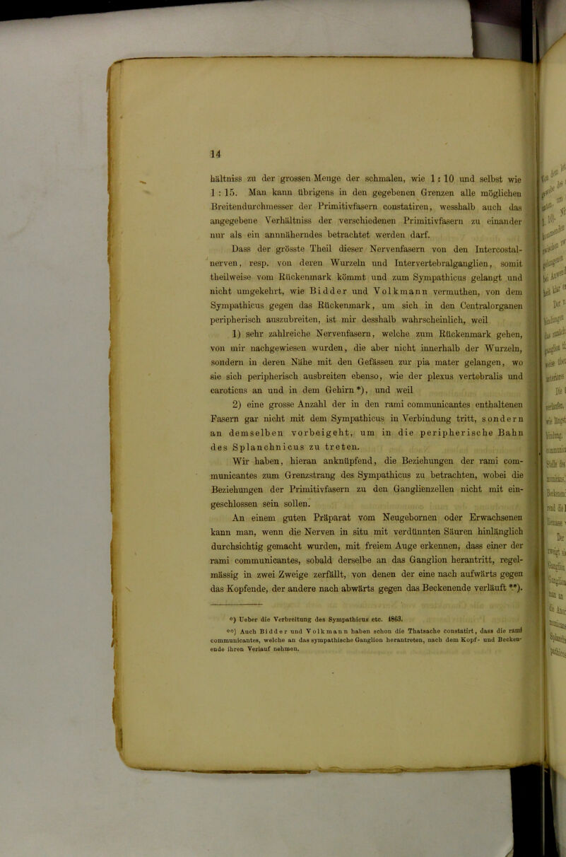 hältniss zu der grossen Menge der schmalen, wie 1:10 und selbst wie 1:15. Man kann übrigens in den gegebenen Grenzen alle möglichen % Breitendurchmesser der Primitivfasern constatiren, wesshalb auch das angegebene Verluiltniss der verschiedenen Primitivfasern zu einander nur als ein annnäherndes betrachtet werden darf. Dass der grösste Theil dieser Nervenfasern von den Intercostal- nerven, resp. von deren Wurzeln und Intervertebralganglien, somit theilweise vom Rückenmark kömmt und zum Sympathicus gelangt und nicht umgekehrt, wie Bidder und Volkmann vermuthen, von dem Sympathicus gegen das Rückenmark, um sich in den Centralorganen peripherisch auszubreiten, ist mir desshalb wahrscheinlich, weil 1) sehr zahlreiche Nervenfasern, welche zum Rückenmark gehen, von mir nachgewiesen wurden, die aber nicht innerhalb der Wurzeln, sondern in deren Nähe mit den Gefässen zur pia mater gelangen, wo sie sich peripherisch ausbreiten ebenso, wie der plexus vertcbralis und caroticus an und in dem Gehirn *), und weil 2) eine grosse Anzahl der in den rami communicantes enthaltenen Fasern gar nicht mit dem Sympathicus in Verbindung tritt, sondern an demselben vorbeigeht, um in die peripherische Bahn des Splanchnicus zu treten. Wir haben, hieran anknüpfend, die Beziehungen der rami com- municantes zum Grenzstrang des Sympathicus zu betrachten, wobei die Beziehungen der Primitivfasern zu den Ganglienzellen nicht mit ein- geschlossen sein sollen. An einem guten Präparat vom Neugebornen oder Erwachsenen kann man, wenn die Nerven in situ mit verdünnten Säuren hinlänglich durchsichtig gemacht wurden, mit freiem Auge erkennen, dass einer der rami communicantes, sobald derselbe an das Ganglion herantritt, regel- mässig in zwei Zweige zerfällt, von denen der eine nach aufwärts gegen das Kopfende, der andere nach abwärts gegen das Beckenende verläuft **). <■) Heber die Verbreitung des SympathicUB etc. 1863. <*«••) Auch Bidder und Volkmann haben schon die Thatsache constatirt, dass die rami communicantes, welche an das sympathische Ganglion herantreten, nach dem Kopf- und Becken- ende ihren Verlauf nehmen.