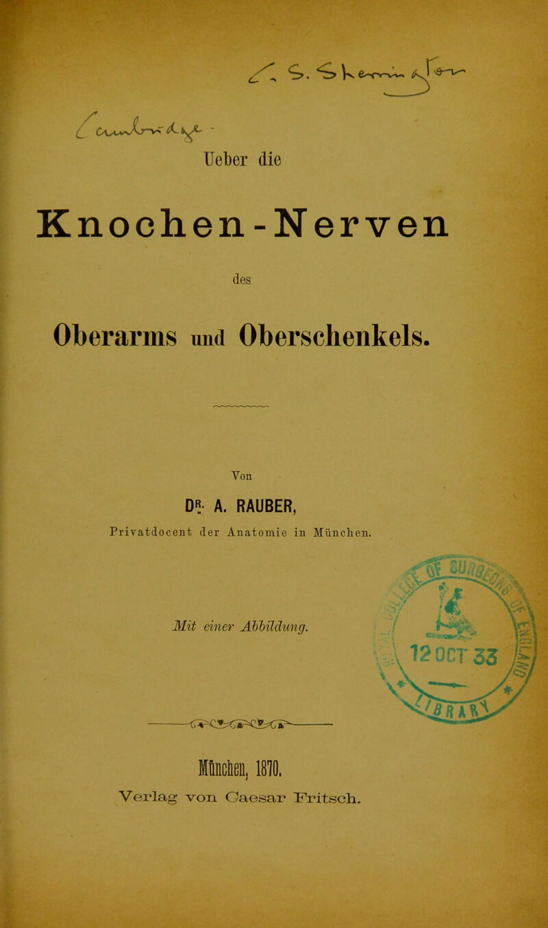 Uebcr die Knochen- Nerven des Oberarms und Oberschenkels. Von DR- A. RÄUBER, Privatdocent der Anatomie in München. Mit einer Abbildung. Mtncbeu, 1810, Verlag von Caesar Fritsch.