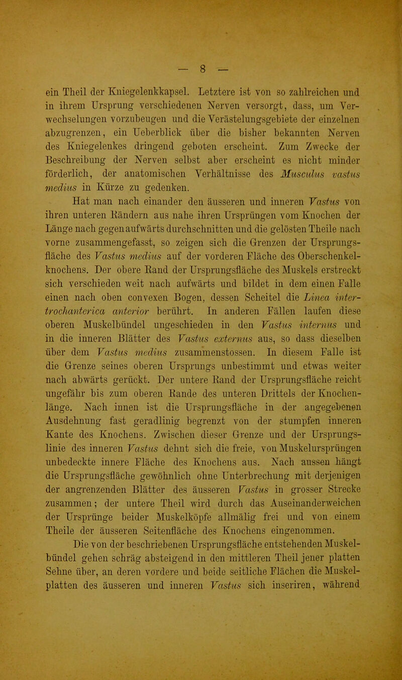 ein Theil der Kniegelenkkapsel. Letztere ist von so zahlreichen und in ihrem Ursprung verschiedenen Nerven versorgt, dass, um Ver- wechselungen vorzubeugen und die Verästelungsgebiete der einzelnen abzugrenzen, ein Ueberblick über die bisher bekannten Nerven des Kniegelenkes dringend geboten erscheint. Zum Zwecke der Beschreibung der Nerven selbst aber erscheint es nicht minder förderlich, der anatomischen Verhältnisse des Musculus vastus medius in Kürze zu gedenken. Hat man nach einander den äusseren und inneren Vastus von ihren unteren Bändern aus nahe ihren Ursprüngen vom Knochen der Länge nach gegen aufwärts durchschnitten und die gelösten Theile nach vorne zusammengefasst, so zeigen sich die Grenzen der Ursprungs- fläche des Vastus medius auf der vorderen Fläche des Oberschenkel- knochens. Der obere Kand der Ursprungsfläche des Muskels erstreckt sich verschieden weit nach aufwärts und bildet in dem einen Falle einen nach oben convexen Bogen, dessen Scheitel die Linea inter- trochanterica anterior berührt. In anderen Fällen laufen diese oberen Muskelbündel ungeschieden in den Vastus internus und in die inneren Blätter des Vastus externus aus, so dass dieselben über dem Vastus medius zusammenstossen. In diesem Falle ist die Grenze seines oberen Ursprungs unbestimmt und etwas weiter nach abwärts gerückt. Der untere Rand der Ursprungsfläche reicht ungefähr bis zum oberen Rande des unteren Drittels der Knochen- länge. Nach innen ist die Ursprungsfläche in der angegebenen Ausdehnung fast geradlinig begrenzt von der stumpfen inneren Kante des Knochens. Zwischen dieser Grenze und der Ursprungs- linie des inneren Vastus dehnt sich die freie, von Muskelursprüngen unbedeckte innere Fläche des Knochens aus. Nach aussen hängt die Ursprungsfläche gewöhnlich ohne Unterbrechung mit derjenigen der angrenzenden Blätter des äusseren Vastus in grosser Strecke zusammen; der untere Theil wird durch das Auseinanderweichen der Ursprünge beider Muskelköpfe allmälig frei und von einem Theile der äusseren Seitenfläche des Knochens eingenommen. Die von der beschriebenen Ursprungsfläche entstehenden Muskel- bündel gehen schräg absteigend in den mittleren Theil jener platten Sehne über, an deren vordere und beide seitliche Flächen die Muskel- platten des äusseren und inneren Vastus sich inseriren, während