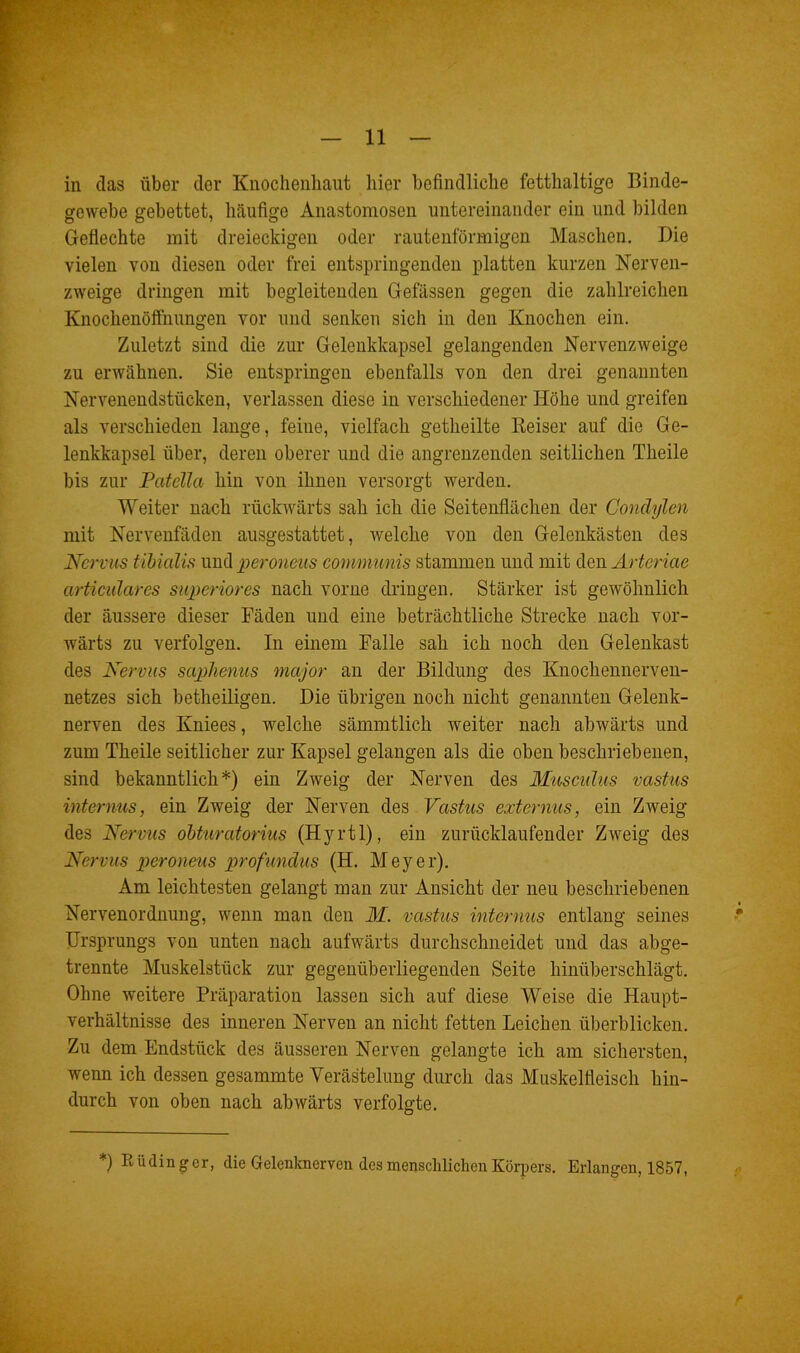 in das über der Knochenhaut hier befindliche fetthaltige Binde- gewebe gebettet, häufige Anastomosen untereinander ein und bilden Geflechte mit dreieckigen oder rautenförmigen Maschen. Die vielen von diesen oder frei entspringenden platten kurzen Nerven- zweige dringen mit begleitenden Gefässen gegen die zahlreichen Knochenöffnungen vor und senken sich in den Knochen ein. Zuletzt sind die zur Gelenkkapsel gelangenden Nervenzweige zu erwähnen. Sie entspringen ebenfalls von den drei genannten Nervenendstücken, verlassen diese in verschiedener Höhe und greifen als verschieden lange, feine, vielfach getheilte Reiser auf die Ge- lenkkapsel über, deren oberer und die angrenzenden seitlichen Theile bis zur Patella hin von ihnen versorgt werden. Weiter nach rückwärts sah ich die Seitenflächen der Condylen mit Nervenfäden ausgestattet, welche von den Gelenkästen des Nervus tibialis und peroneus communis stammen und mit den Arteriae articulares superiores nach vorne dringen. Stärker ist gewöhnlich der äussere dieser Fäden und eine beträchtliche Strecke nach vor- wärts zu verfolgen. In einem Falle sah ich noch den Gelenkast des Nervus saplienus major an der Bildung des Knochennerven- netzes sich betheiligen. Die übrigen noch nicht genannten Gelenk- nerven des Kniees, welche sämmtlich weiter nach abwärts und zum Theile seitlicher zur Kapsel gelangen als die oben beschriebenen, sind bekanntlich*) ein Zweig der Nerven des Musculus vastus internus, ein Zweig der Nerven des Vastus externus, ein Zweig des Nervus obturatorius (Hyrtl), ein zurücklaufender Zweig des Nervus peroneus profundus (H. Meyer). Am leichtesten gelangt man zur Ansicht der neu beschriebenen Nervenordnung, wenn man den M. vastus internus entlang seines Ursprungs von unten nach aufwärts durchschneidet und das abge- trennte Muskelstück zur gegenüberliegenden Seite hinüberschlägt. Ohne weitere Präparation lassen sich auf diese Weise die Haupt- verhältnisse des inneren Nerven an nicht fetten Leichen überblicken. Zu dem Endstück des äusseren Nerven gelangte ich am sichersten, wenn ich dessen gesammte Verästelung durch das Muskelfleisch hin- durch von oben nach abwärts verfolgte. *) Eüdinger, die Gelenknerven des menschlichen Körpers. Erlangen, 1857,