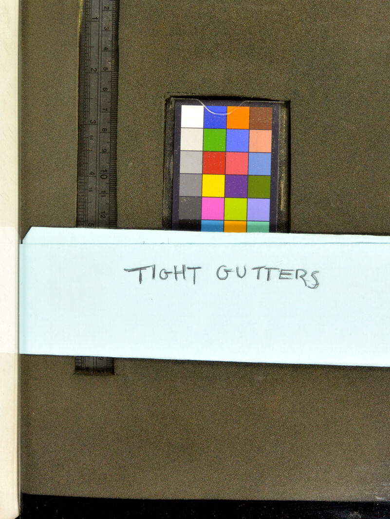 iilliiliilliiiliiifi