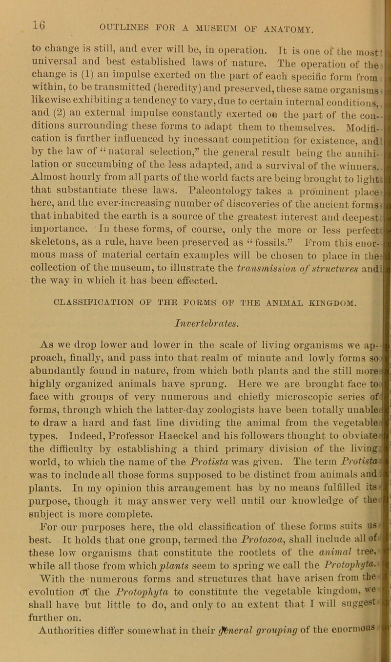 to change is still, and ever will be, in o[)eration. It is one of the luo.st* universal and best established laws of nature. The operation of the change is (1) an impulse exerted on the part of each specific form from within, to be transmitted (heredity) and preserved, these same organisms ^ likewise exhibiting a tendency to vary, due to certain internal conditions, and (2) an external impulse constantly exerted on the part of the con- ditions surrounding these forms to adapt them to themselves. Modifi- cation is further influenced by incessant competition for existence, and: by the law of natural selection,” the general result being the annihi- lation or succumbing of the less adapted, and a survival of the winners. Almost hourly from all parts of the world facts are being brought to light' that substantiate these laws. Paleontology takes a prominent place: here, and the ever-increasing number of discoveries of the ancient forms^ that inhabited the earth is a source of the greatest interest and deepest: importance. In these forms, of course, only the more or less perfect; skeletons, as a rule, have been preserved as “ fossils.” Prom this enor- mous mass of material certain examples will be chosen to place in thcr collection of the museum, to illustrate the transmission of structures andi the way in which it has been effected. CLASSIFICATION OP THE FORMS OF THE ANIMAL KINGDOM. Invertebrates. As we drop lower and lower in the scale of living organisms we ap- proach, finally, and pass into that realm of minute and lowly forms so abundantly found in nature, from which both plants and the still more: highly organized animals have sprung. Here we are brought face to face with grouiis of very numerous and chieflj^ microscopic series of' forms, through which the latter-day zoologists have been totally unable: to draw a hard and fast line dividing the animal from the vegetable: types. Indeed, Professor Haeckel and his followers thought to obviate: the difficulty by establishing a third primary division of the living, world, to which the name of the Protista was given. The term Protista^ was to include all those forms supposed to be distinct from animals and : plants. In my opinion this arrangement has by no means fulfilled its- purpose, though it may answer very well until our knowledge of then subject is more complete. For our purposes here, the old classification of these forms suits us best. It holds that one group, termed the Protozoa, shall include all of these low organisms that constitute the rootlets of the animal tree, while all those from whichpfarUs seem to siiring we call the Proi02)hyta- With the numerous forms and structures that have arisen from the evolution of the Protophyta to constitute the vegetable kingdom, we shall have but little to do, and only to an extent that I will suggest further on. Authorities differ somewhat in their {ftneral grouping of the enormous