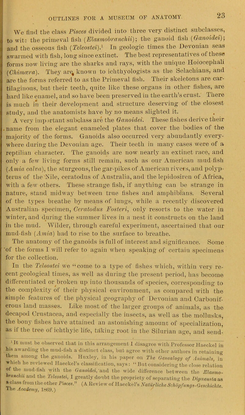 We find the class Pisces divided into three very distinct subclasses, to wit: the primeval fish [Elasmobranchii)', the ganoid fish [Oaiioidei)) and the osseous fish [Teleostei).^ In geologic times the Devonian seas swarmed with fish, long since extinct. The best represeutati%^es of these forms now living are the sharks and rays, with the unique Holocephali {Cliimwra). They ar<^ known to ichthyologists as the Selachians, and are the forms referred to as the Primeval fish. Their skeletons are car- tilaginous, but their teeth, quite like these organs in other fishes, are hard like enamel, and so have been preserved in the earth’s crust. There is much in their development and structure deserving of the closest study, and the anatomists have by no means slighted it. A very important subclass are the Qanoidei. These fishes derive their .name from the elegant enameled plates that cover the bodies of the majority of the forms. Ganoids also occurred very abundantly every- where during the Devonian age. Their teeth in many cases were of a reptilian character. The ganoids are now nearly an extinct race, and only a few living forms still remain, such as our American mud-fish {Amici ealva), the sturgeons, the gar-pikes of American rivers, and polyp- terns of the Nile, ceratodus of Australia, and the lepidosireu of Africa, with a few others. These strange fish, if anything can be strange in nature, stand midway between true fishes and amphibians. Several of the tyi^es breathe by means of lungs, while a recently discovered Australian- specimen, Ceratodus Fosteri, only resorts to the water in winter, and during the summer lives in a nest it constructs on the land in the mud. Wilder, through careful experiment, ascertained that our mud-fish (Amia) had to rise to the surface to breathe. The anatomy of the ganoids is full of interest and significance. Some of the forms I will refer to again when speaking of certain specimens for the collection. In the Teleostei we “come to a type of fishes which, within very re- cent geological times, as well as during the present period, has become differentiated or broken up into thousands of species, corresponding to the complexity of their physical environment, as compared with the simple features of the physical geography of Devonian and Carbonif- erous land masses. Like most of the larger groups of animals, as the decapod Crustacea, and especially the insects, as well as the mollusks, the bony fishes have attained an astonishing amounc of specialization, as if the tree of ichthyic life, trtking root in the Silurian age, and send- ‘ It must bo observed that in this arrangement I disagree witli Professor HaeckeUn his awarding the mud-fish a distinct class, but agree with other authors in retaining them among the ganoids. Huxley, in his paper on The Genealogn of Animals, in which he reviewed Haeckel’s classification, says; “ But considering the close relation of the niud-fish with the Qanoidei, uml the wide difference between the JSIasmo- branchii and the Teleostei, I greatly doubt the propriety of separating the Dipneustans aclass fromtheother Pisces. (A Review of Haeckel’s Natiirliohc Schdpfnngs-GescUoUe The Academy, 1H69.)