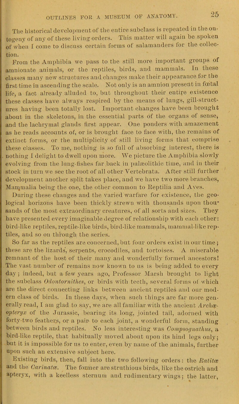 The historiciil development of tlie entire subclass is repeated in the on- togeny of any of these living orders. This matter will again be spoken of when I come to discuss certain forms of salamanders for the collec- tion. From the Amphibia we pass to the still more important groups of amnionate animals, or the reptiles, birds, and mammals. In these classes many new structures and changes make their appearance for the first time in ascending the scale. Hot only is an amnion present in foetal life, a fact already alluded to, but throughout their eutire existence these classes have always respired by the means of lungs, gill-struct- ures having been totally lost. Important changes have been brought about in the skeletons, in the essential parts of the organs of sense, and the lachrymal glands first appear. One ponders with amazement as he reads accounts of, or is brought face to face with, the remains of extinct forms, or the multiplicity of still living forms that comprise these classes. To me, nothing is so full of absorbing interest, there is nothing I delight to dwell upon more. We picture the Amphibia slowly evolving from the Inng-tishes far back in palaeolithic time, and in their stock in turn we see the root of all other Yertebrata. After still further development another split takes place, and we have two more branches, Manjmalia being the one, the other common to Eeptilia and Aves. During these changes and the varied warfare for existence, the geo- logical horizons have been thickly strewn with thousands upon thou- sands of the most extraordinary creatures, of all sorts and sizes. They have presented every imaginable degree of relationship with each other: bird-like reptiles, reptile-like birds, bird-like mammals, mammal-like rep- tiles, and so on through the series. So far as the reptiles are concerned, but four orders exist in our time; these are the lizards, serpents, crocodiles, and tortoises. A miserable remnant of the host of their many and wonderfully formed ancestors! The vast number of remains now known to us is being added to every day; indeed, but a few years ago. Professor Marsh brought to light the subclass Oclontornithes, or birds with teeth, several forms ol whieh are the direct connecting links between ancient reptile^ and our mod- ern class of birds. In these days, when such things are far more gen- erally read, I am glad to say, we are all familiar with the ancient Archce- opteryx of the Jurassic, bearing its long, jointed tail, adorned with forty-two featheus, or a pair to each joint, a wonderful form, standing between birds and reptiles. Ho less interesting was Compsoynathus, a bird-like reptile, that habitually moved about upon its hind legs only; but it is impossible for us to enter, even by name of the animals, further upon such an extensive subject here. Existing birds, then, fall into the two following orders: the Ralitce and the Garinatm. The former are struthious birds, like the ostrich and apteryx, with a keelless sternum and rudimentary wings; the latter.