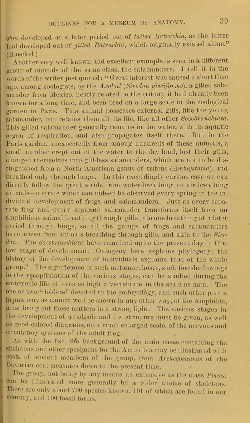 chia developed iit ii later period out of tailed Batrachia, as the latter had developed out of gilled Batrachia, which originally existed alone.” (Haeckel) Another very well known and excellent example is seen in a different group of animals of the same class, the salamanders. I tell it in the words of tbe writer just quoted: “ Great iuterest was caused a short time ago, among zoologists, by the Axolotl {Biredon pisciforme), a gilled sala- mander from Mexico, nearly related to the triton; it had already been known for a long time, and been bred on a large scale in the zoological garden in Paris. This animal possesses external gills, like the young salamander, but retains them all its life, like all other SozobrancMata. This gilled salamander generally remains in the water, with its aquatic oigan of respiration, and also propagates itself there. But in the Paris garden, unexpectedly from among hundreds of these animals, a small number crept out of the water to the dry land, lost their gills, changed tiiemselves into gill-less salamanders, which are not to be dis- tinguished from a Iforth Americau genus of tritons {Amblystoma), and breathed only through lungs. In this exceedingly curious case we can directly follow the great stride from water-breathing to air-breathing animals—a stride which can indeed be observed every spring in the in- dividual development of frogs and salamanders. Just as every sepa- rate frog and every separate salamander transforms itself from an amphibious animal breathing through gills into one breathing at a later period through lungs, so all the groups of frogs and salamanders have arisen from animals breathing through gills, and akin to the Sire- don. The Sozobranr-hiata have remained up to the present day in that low stage of development. Ontogeny here explains iihylogeny; the history of the development of individuals explains that of the whole group.” The significance of such metamorphoses, such foreshadowings in the recapitulation of the various stages, can be studied during the embryonic life of even so high a vertebrate in the scale as man. The one or two “ folders” devoted to the embryology, and such other points in anatomy as cannot well be shown in any other way, of the Amphibia, must bring out these matters in a strong light. The various stages in the development of a tad4>ole and its structure must be given, as well as good colored diagrams, on a much enlarged scale, of the nervous and circulatory systems of the adult frog. As with the fish, the background of the main cases containing the Skeletons and other specimens for the Amphibia may be illustrated with casts of ancient members of the group, from Archegosauriis of the ‘ Bavarian coal-measures down to the present time. The group, not being by any means as exteusi^ve as the class Piscen, can be illustrated more generally by a wider choice of skeletons. Ihere are only about 700 species known, 101 of which are found in our country, and 100 fossil forms.