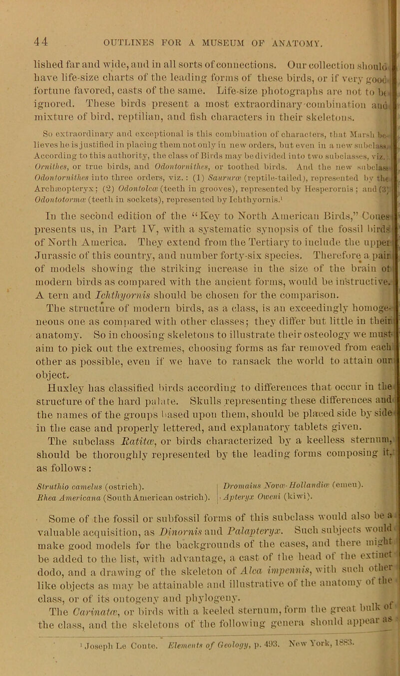 lisbed far and wide, and in all sorts of connections. Onr collection .should have life-size charts of the leading forms of these birds, or if very good fortune favored, casts of the same. Life-size photographs ai e not to bt ignored. These birds present a most extraordinary-combination aiidJ mixture of bird, reptilian, and flsh characters in their skeletons. So extraordinary and exceptional is this combination of characters, that Marsh he- i lieves he is justified in ])lacing them not only in new orders, bat even in a new subclass. ; According to this authority, the class of Bii'ds may bo divided into two subclasses, viz. j Ornitlies, or true birds, and Odontornithes, or toothed birds. And the new snbclast ■ Odontornithm into three order.s, viz.: (1) Saiirurat (reptile-tailed;, represented by the Archmopteryx; (2) OdowtoZete (teeth in grooves), represented by Hesperoruis ; and (II) Odontotormm (teeth in sockets), represented by Ichthyornis.' In the second edition of the “Key to North American Birds,” Cone.*! • presents ns, in Part IV, with a systematic synopsis of the fossil Itirds of North America. They extend from the Tertiary to include the upper Jurassic of this country, and number forty-six species. Therefore a pair, of models showing the striking increase in the size of the brain ot moderir birds as compared with the ancient forms, woukl be instructive. A tern and Ichthyornis should be chosen for the comparison. The structure of modern birds, as a class, is an exceedingly homoge- neous one as compared with other classes; they differ but little in their anatomy. So in choosing skeletons to illustrate their osteology we must- aim to pick out the extremes, choosing forms as far removed from each other as possible, even if we have to ransack the world to attain our object. Huxley has classified l>irds according to differences that occur in the ■ structure of the hard palate. Skulls re})reseuting these differences and f the names of the groups based upon them, should be placed side bj' side I in the case and properly lettered, and explanatorj- tablets given. The subclass Eatitw, or birds characterized by a keelless sternum, '■ should be thoroughly represented by the leading forms composing it, as follows: Slrntliio camelus (ostrich). [ Dromaiiis Novw- HoUandiw (emeu). i?/ica ztmenc«?i.a (South American ostrich). ^-Apteryx Oioeiii (kiwi). Some of the fossil or subfossil forms of this subclass would also be a valuable acquisition, as Dinornis and Palapteryx. Such subjects would make good models for the backgrounds of the cases, and there might be added to the list, with advantage, a cast of the head ot the extinct dodo, and a drawing of the skeleton of Alca impennis, with such otlnr like objects as may be attainable and illustrative of the anatom;^ of the class, or of its ontogeny and phylogeuy. The Carinatnu or birds with a keeled sternum, form the great bulk ot the cla.ss, and the skeletons of the following genera shonld appear as ‘ .Josci)h Le Conte. EleineiitH of GeoJogy, \>. Ad'.i. New \ork, 188.L