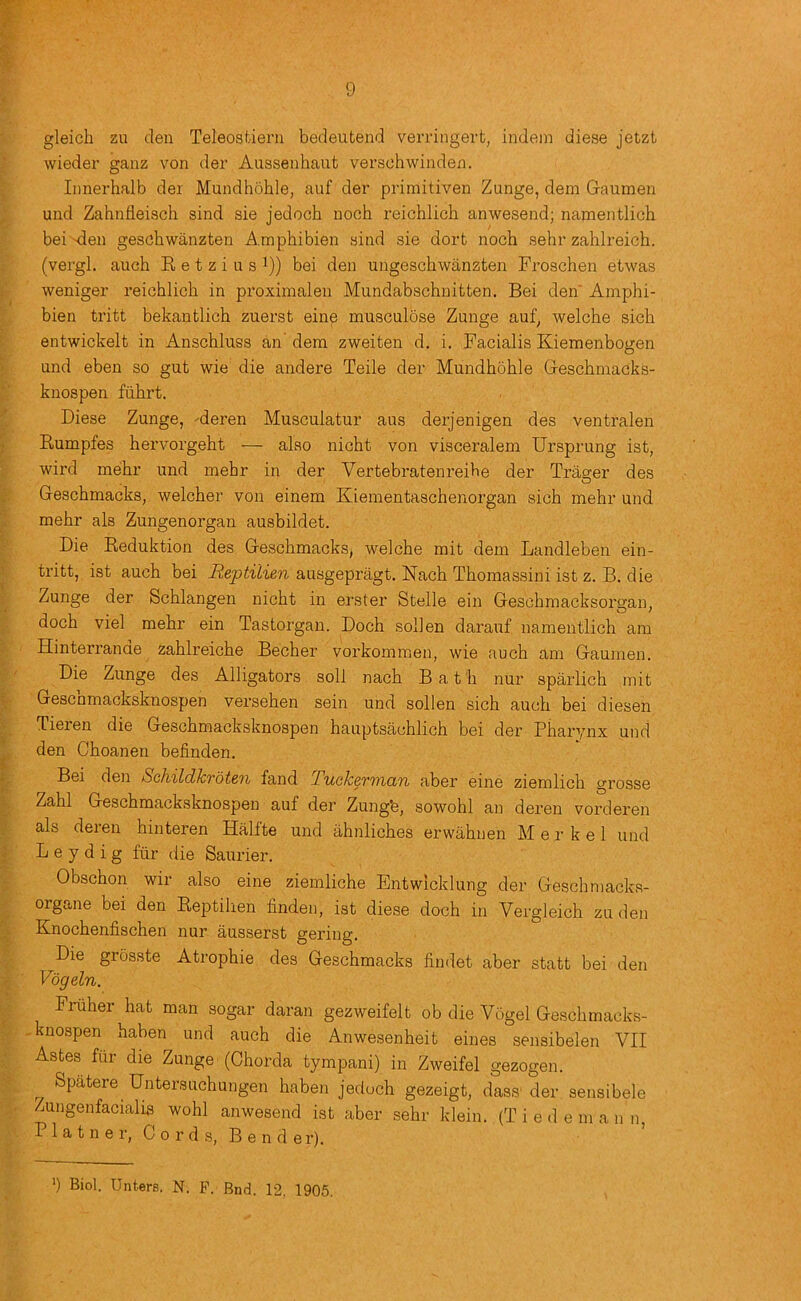 gleich zu den Teleostierii bedeutend verringert, indein diese jetzt wieder ganz von der Aussenhaut verschwinden. Iiinerhalb der Mundhohle, auf der primitiven Zunge, dem Gaumen und Zahnfleisch sind sie jedocb nooh reichlicli anwesend; namentlich beiNJen geschwanzten Amphibien sind sie dort noch sehr zahlreich. (vergl. auch E e t z i u s i)) bei den ungeschwanzten Froschen etwas weniger reichlicb in proximalen Mundabschnitten. Bei den' Amphi- bien tritt bekantlich zuerst eins musculose Zunge auf^ welche sich entwickelt in Anschluss an' dem zweiten d. i. Facialis Kiemenbogen and eben so gut wie die andere Teile der Mundhohle Geschmacks- knospen fiihrt. Diese Zunge, Meren Musculatur aus derjenigen des ventralen Eumpfes hervorgeht — also nicht von visceralem Ursprung ist, wird mehr und mehr in der Vertebratenreihe der Tracer des O Geschmacks, welcher von einem Kiementaschenorgan sich mehr und mehr als Zungenorgan ausbildet. Die Eeduktion des Geschmacks, welche mit dem Landleben ein- ti’itt, ist auch bei AepiiZ'iejr ausgepragt. Nach Thomassini ist z. B. die Zunge der Schlangen nicht in erster Stelle ein Geschmacksorgan, dock viel mehr ein Tastorgan. Doch sollen darauf namentlich am Hinterrande zahlreiche Becher vorkommen, wie auch am Gaumen. Die Zunge des Alligators soli nach Bath nur sparlich mit Gescnmacksknospen versehen sein und sollen sich auch bei diesen Tieren die Geschmacksknospen hauptsachlich bei der Pharynx und den Choanen befinden. Bei den SchildkToten fand TuckeTonctn aber eine ziemlich grosse Zahl Geschmacksknospen auf der Zung'e, sowohl an deren vorderen als deren hinteren Halfte und ahnliches erwahuen Merkel und L e y d i g fur die Saurier. Obschon wir also eine ziemliche Entwicklung der Geschmacks- organe bei den Eeptihen findeu, ist diese doch in Vergleich zu den Knochenfischen nur ausserst gering. Die grosste Atrophie des Geschmacks findet aber statt bei den Vdgeln. Friiher hat man sogar daran gezweifelt ob die Vogel Geschmacks- -knospen haben und auch die Anwesenheit eines sensibelen VII Astes fiir die Zunge (Chorda tympani) in Zweifel gezogen. Spiitere Untersuchungen haben jedoch gezeigt, dass' der sensibele Zungenfacialis wohl anwesend ist aber sehr klein, (T i e d e in a n n P 1 a t n e r, Cords, Bender). ') Biol. UnterB. N. P. Bnd. 12, 1905.