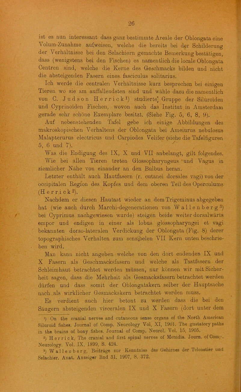 ist es niia iuteressant dass ganz bestiminte Areale der Oblongata eine Volum-Zunahme aufweisen, welclie die bereits bei der Schilderung der Verbaltnisse bei den Selachiern gemachte Beinerkung bestatigen, dass (wenigstens bei den Fischen) es namentlich die locale Oblongata Centren sind, welche die Kerne des Geschmacks bilden und nicht die absteigenden Fasern eines fasciculus solitarius. Ich werde die centralen Verhaltnisse kurz besprechen bei einigen Tieren wo sie am auffallendsten sind und wahle dazu die namentlich von C. J u d s 0 n H e r r i c k i) studierte] Gruppe der Siluroiden und Cyprinoiden Fischen, woven auch das Institut in Amsterdam gerade sehr schone Exemplare besitzt. (Siehe Fig. 5, 6, 8, 9). Auf nebensLehenden Tafel gebe ich einige Abbildungen des makroskopischen Verhaltens der Oblongata bei Ameiurus nebulosus Malapterurus electricus und Oarpiodes Velifer (siehe die Tafelfiguren 5, 6 und 7). Was die Endigung des IX, X und VII anbelangt, gilt folgendes. Wie bei alien Tieren treten Glossopharyngeus ’und Vagus in ziemlicher Nahe von einander an den Bulbus heran. Letzter enthalt auch Hautfaseim (r. cutanei dorsales vagi) von der occipitalen Eegi'on des Kopfes und dem oberen Teil des Operculums (Her rick 2), Nachdem er diesen Hautast wieder an dem Trigeminus abgegebeu hat (wie auch durch Marchi-degenei’ationen von Wallen berg 3) /' bei Cyprimus nachgewiesen wurde) steigen beide wei ter dorsal warts empor und endigen in einer als lobus glossopharyngei et vagi bekannten dorso-lateralen Verdickung der Oblongata (Fig. 8) derer topographisches Verhalten zum sensibelen VII Kern unten beschrie- . ben wird. Man kann nicht angeben welche von den dort endenden IX und X Fasem als Geschmacksfasern und welche als Tastfasern der Schleimhaut betrachtet werden miissen, nur konnen wir mit Sicher- heit sagen, dass die Mehrheit als Gesmacksfasern betrachtet werden dtirfen und dass somit der, Oblongatakern selber der Hauptsache nach als wirklicher Gesmackskern betrachtet werden muss. Es verdient auch hier betont zu werden dass die bei den Saugern absteigenden visceralen IX und X Fasern (dort unter dem On the cranial nerves and cutaneous sense organs of the North American Siluroid fishes. Journal of Comp. Neurology Vol, XI, 1901. The gustatory paths in the brains of bony fishes. Journal of Comp. Neurol. Vol. 15, 1905. 2) Herrick, The cranial and first spinal nerves of Menidia. Journ. of Comp. Neurology. Vol. IX, 1899, S. 424. 3) Wallenberg, Beitriige zur Kenutniss des (iehirnes der Teleostier und Selachier. Anat. Anzeiger Bnd 31, 1907, S. 372.