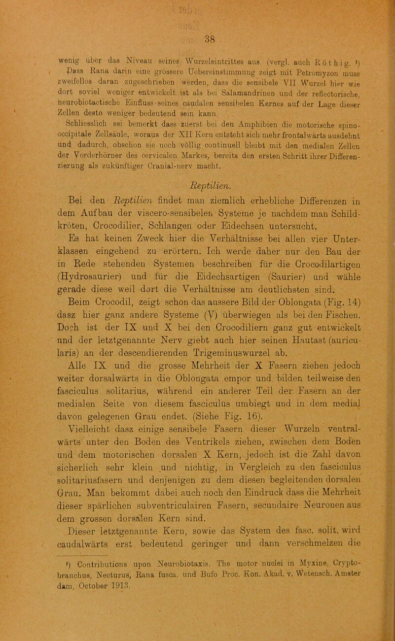 wenig iiber das Niveau seines VVurzeleintritles aus (vergl, auch R 61 h i g. •) Dass Rana dariii eine grossere Ucbereinstiiiimuiig zeigt niit Petromyzoii muss zvveifellos daran zugeschrieben werden, dass die sensibele VII Wurzel hier wie dort soviel weniger entwickelt ist als bei Salamandrinen und der reflectorische, neurobiotactische Einfluss seines caudalen sensibelen Kernes auf der Lage dieser Zellen desto weniger bedeutend sein kann. Schliesslich sei beraerkt dass zuerst bei den Amphibien die motorische spino- occipitale Zellsaule, woraus der XII Kern entstcht sich mehr frontalwarts ausdehnt und dadurch, obsclion sie noch v6llig continuell bleibt mit den medialen Zellen der Vorderhorner des cervicalen Markes, bereits den ersten Scbritt ihrer Differen- zierung als zukiinftiger Cranial-nerv macht. Reptilien. Bei den Reptilien findet man ziemlich erhebliche Differenzen in dem Aufbau der viscero-sensibelen Systeme je nachdem man Schild- kroten, Orocodilier, Schlangen oder Eidechsen untersucht. Es hat keinen Zweck hier die Verhaltnisse bei alien vier Unter- klassen eingehend zu erortern. Ich werde daher nur den Ban der in Rede stehenden Systemen beschreiben fiir die Orocodilartigeii (Hydrosaurier) und fur die Eidechsartigen (Saurier) und wahle gerade diese weil dort die Verhaltnisse am deutlichsten sind. Beim Crocodil, zeigt schon das aussere Bild der Oblongata (Fig. 14) dasz hier ganz andere Systeme (V) uberwiegen als bei den Fischen. Doch ist der IX und X bei den Crocodiliern ganz gut entwickelt und der letztgenannte Nerv giebt auch hier seinen Hautast (auricu- laris) an der descendierenden Trigeminuswurzel ab. Alle IX und die grosse Mehrheit der X Fasern ziehen jedoch weiter dorsalwarts in die Oblongata empor und bilden teilweise den fasciculus solitarius, wahrend ein anderer Teil der Fasern an der medialen Seite von diesem fasciculus umbiegt und in dem media| davon gelegenen Grau endet. (Siehe Fig. 16). Vielleicht dasz einige sensibele Fasern dieser Wurzeln ventral- warts unter den Boden des Ventrikels ziehen, zwischen dem Boden und dem motorischen dorsalen X Kern, jedoch ist die Zahl davon sicherJich sehr klein und nichtig, in Vergleich zu den fasciculus solitariusfasern und denjenigen zu dem diesen begleitenden dorsalen Grau. Man bekommt dabei auch noch den Eindruck dass die Mehrheit dieser spaidichen subventriculairen Fasern, secundaire Neuronen aus dem grossen dorsalen Kern sind. Dieser letztgenannte Kern, sowie das System des fasc. solit. wird caudalwarts erst bedeutend geringer und dann verschmelzen die ') Contributions upon Neurobiotaxis. The motor nuclei in Myxine. Crypto- branclius, Necturus, Rana fusca. und Bulb Proc. Kon. Akad. v. VVetensch. Amster dam, October 1913.