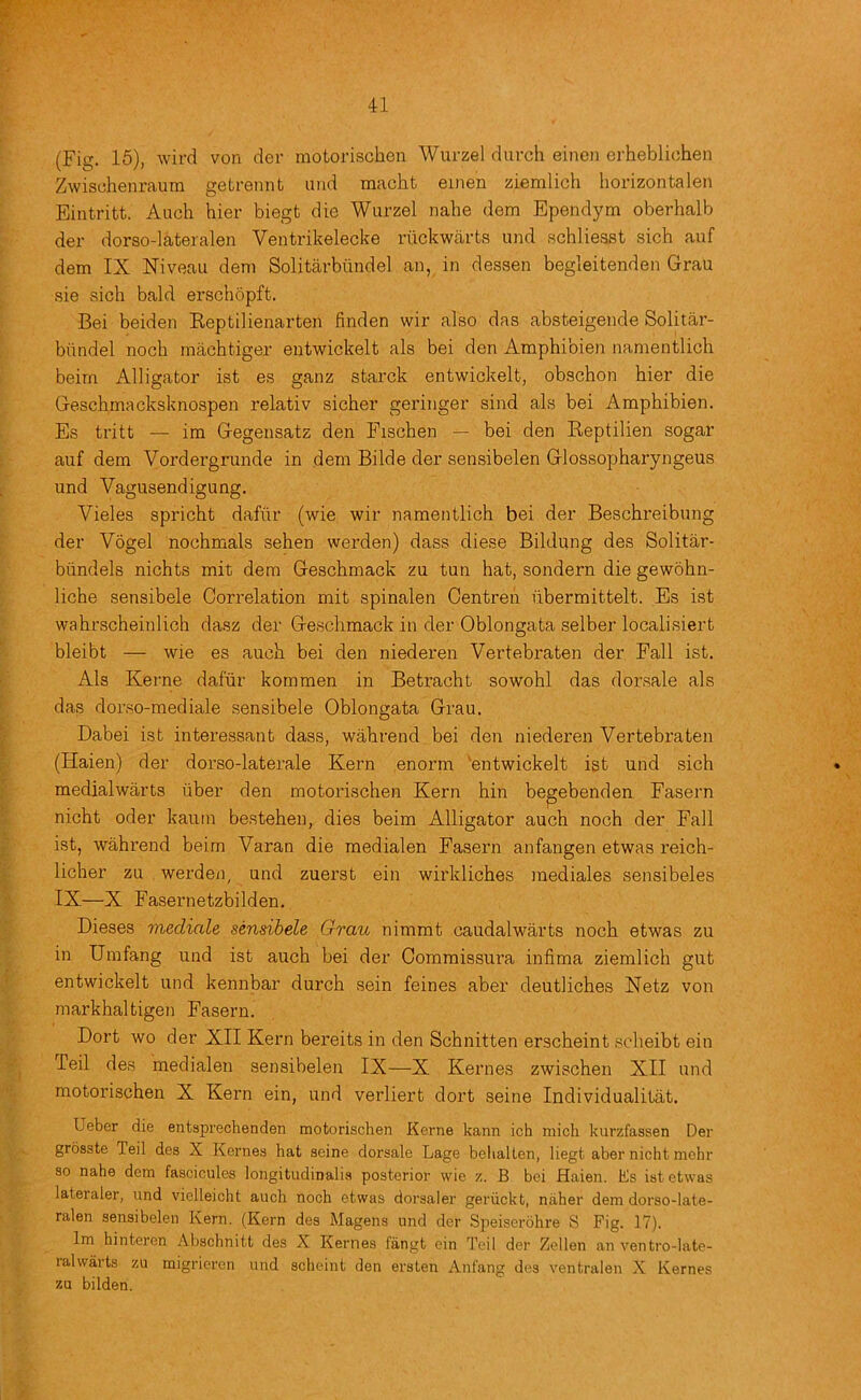 (Fig. 16), wird von der motorischen Wurzel durch einon erheblichen Zwischenraum getrennt and macht einen ziemlich horizontalen Eintritt. Audi hier biegt die Wurzel nabe dem Ependym oberbalb der dorso-lateralen Ventrikelecke riickwarts und scbliesst sicb auf dem IX Niveau dem Solitarbiindel an, in dessen begleitenden Grau sie sicb bald erscbopft. Bei beiden Keptilienarten linden wir also das absteigende Solitar- biindel nocb macbtiger entivickelt als bei den Ampbibien namentlicb beirn Alligator ist es ganz starck entwickelt, obscbon bier die Gescbmacksknospen relativ sicber geringer sind als bei Ampbibien. Es tritt — im Gegensatz den Fiscben — bei den Reptilien sogar auf dem Vordergrunde in dem Bilde der sensibelen Glossopbaryngeus und Vagusendigung. Vieles spricbt dafiir (wie wir namentlicb bei der Bescbreibung der Vogel nocbmals seben werden) dass diese Bildung des Solitar- biindels nicbts mit dem Gescbmack zu tun bat, sondern die gewobn- licbe sensibele Correlation mit spinalen Centren iibermittelt. Es ist wabrscbeinlicb dasz der Gescbmack in der Oblongata selber localisiert bleibt — wie es aucb bei den niederen Vertebraten der Fall ist. Als Kerne dafiir kommen in Betracbt sowobl das dorsale als das dorso-mediale sensibele Oblongata Grau. Dabei ist interessant dass, wabrend bei den niederen Vertebraten (Haien) der dorso-laterale Kern enorm 'entwickelt ist und sicb medialwarts iiber den motoriscben Kern bin be^ebenden Fasern nicbt Oder kauin besteben, dies beim Alligator aucb nocb der Fall ist, wabrend beim Varan die medialen Fasern anfangen etwas reicb- licber zu werden, und zuerst ein wirklicbes mediates sensibeles IX—X Fasernetzbilden. Dieses mediale sensibele Grau nimmt caudalwarts nocb etwas zu in Unifang und ist aucb bei der Commissura infima ziemlicb gut entwickelt und kennbar durcb sein feines aber deutlicbes Netz von markbaltigen Fasern. Dort wo der XII Kern bereits in den Scbnitten erscbeint scbeibt ein Teil des medialen sensibelen IX—X Kernes zwiscben XII und motoriscben X Kern ein, und verliert dort seine Individualitat. Ueber die entsprechenden motorischen Kerne kann ich mich kurzfassen Der grosste Teil des X Kernes hat seine dorsale Lage belialten, liegt aber nicht mchr so nahe dem fascicules longitudinalis posterior wie z. B bei Haien. Es ist etwas lateraler, und vielleicht auch noch etwas dorsaler gei’iickt, naher dem dorso-late- ralen sensibelen Kern. (Kern des Magens und der Speiserohre S Fig. 17). Im hinteren Abschnitt des X Kernes fangt ein Teil der Zellen an ventro-late- lalwarts zu migrieren und scheint den ersten Anfang des ventralen X Kernes zu bilden.