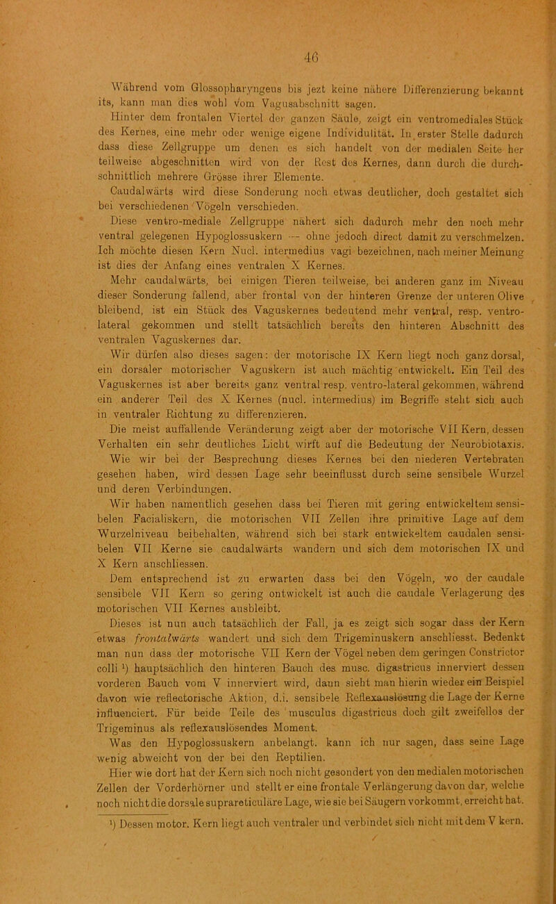 4G Wiihreiul vom Glossojiharyngens bis jezt keine nilhere Dillerenzierung bf*kannt its, kann man dies wohl vom Vagusabsclinitl sagen. Hinter dem frontalen Viertel der ganzen Saule, zeigt ein ventromediales Stuck des Kernes, eine inehr oder wenige eigene Individulitat. In erster Stelle dadurch dass diese Zellgruppe um denen es sicli handelt von der medialen Seite her teilweise abgeschnitton wird von der Rest des Kernes, dann durch die durch- schnittlich mehrere Grosse ihrer Elemente. Caudalwarts wird diese Sonderung noch etwas deutlicher, docli gestaltet sich bei verscliiedenen ' Vbgeln verschieden. Diese ventro-mediale Zellgruppe nahert sich dadurch niehr den noch mehr ventral gelegenen Hypoglossuskern — ohne jedoch direc;t damit zu verschmelzen. Ich mochte diesen Kern Nucl. intermedins vagi bezeichnen, nach meiner Meinung ist dies der Anfang eines venlralen X Kernes. Mehr caudalwarts, bei einigen Tieren teilweise, bei anderen ganz im Niveau dieser Sonderung fallend, aber frontal von der hinteren Grenze der unteren Olive bleibend, ist ein Stiick des Vaguskernes bedeutend mehr ventral, resp. ventro- lateral gekommen und slellt tatsachlich bereits den hinteren Abschnitt des ventralen Vaguskernes dar. Wir diirfen also dieses sagen; der motorische IX Kern liegt noch ganz dorsal, ein dorsaler motorischer Vaguskern ist auch machtig entwickelt. Ein Teil des Vaguskernes ist aber bereits ganz ventral resp. ventro-lateral gekommen, wahrend ein anderer Teil des X Kernes (nucl. intermedins) im Begriffe steht sich auch in ventraler Richtung zu differenzieren. Die meist auffallende Veriinderung zeigt aber der motorische VII Kern, dessen Verhalten ein sehr deutliches Licht wirft auf die Bedeutiuig der Neurobiotaxis. Wie wir bei der Besprechung dieses Kernes bei den niederen Vertebraten gesehen haben, wird dessen Lage sehr beeinflusst durch seine sensibele Wnrzel und deren Verbindungen. Wir haben namentlich gesehen dass bei Tieren mit gering entwickeltem sensi- belen Facialiskern, die motorischen VII Zellen ihre primitive Lage auf dem Wurzelniveau beibehalten, wahrend sich bei stark entwickeltem caudalen sensi- belen VII Kerne sie caudalwarts wandern und sich dem motorischen IX und X Kern anschliessen. Dem entsprechend ist zu erwarten dass bei den Vogeln, wo der caudale sensibele VII Kern so gering ontwickelt ist auch die caudale Verlagerung des motorischen VII Kernes ansbleibt. Dieses ist nun auch tatsachlich der Fall, ja es zeigt sich sogar dass der Kern etwas frontalwdris wandert und sich dem Trigeminuskern anschliesst. Bedenkt man nun dass der motorische VII Kern der Vogel neben dem geringen Constrictor colli hauptsachlich den hinteren Bauch des muse, digastricus innerviert dessen vorderen Bauch vom V innerviert wird, dann sieht man hiei’in wieder ein Beispiel davon wie reflectorische Aktion, d.i. sensibele Refl.exaa.isldsung die Lage der Kerne influenciert. Fiir beide Teile des ‘ musculus digastricus doch gilt zweifellos der Trigeminus als reflexauslosendes Moment. Was den Hypoglossuskern anbelangt. kann ich nur sagen, dass seine Lage wenig abweicht von der bei den Reptilien. Hier wie dort hat del' Kern sich noch nicht gesondert von den medialen motorischen Zellen der Vorderhorner und stellt er eine frontale Verlangerung davon dar, welche noch nicht die dorsale suprareticuliireLage, wie sie beiSiiugern vorkommt.erreichthat. ') Dessen motor. Kern liegt auch ventraler und verbindet sich nicht mit dem V kern.