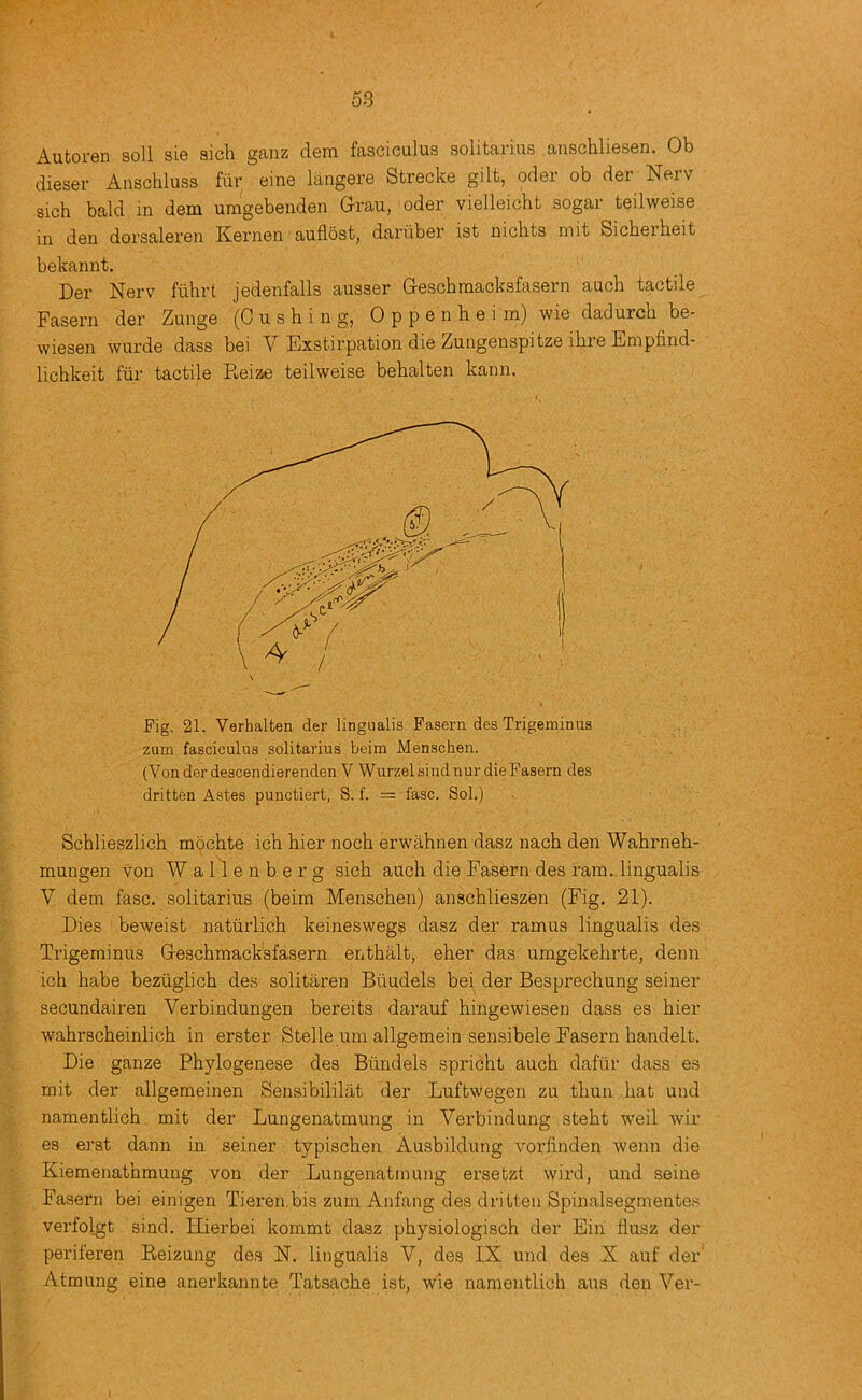 Autoren soli sie sich ganz dera fasciculus solitarius anschliesen. Ob dieser Anschluss fiir eine langere Strecke gilt, oder ob der Nerv sich bald in dem umgebenden Grau, oder vielleicht sogar teilweise in den dorsaleren Kernen auflost, dariiber ist nichts mit Sicherheit bekannt. Der Nerv fiihrt jedenfalls ausser Geschmacksfasern auch tactile Fasern der Zunge (Gushing, Oppenheim) wie dadurch be- wiesen wurde dass bei V Exstirpation die Zungenspitze ihre Empfind- lichkeit ftir tactile Reize teilweise behalten kann. Fig. 21. Verhalten der lingualis Fasern des Trigeminus zum fasciculus solitarius beim Menschen. (Von der descendierenden V Wurzelsind nur die Fasern des dritten Astes punctiert, S. f. = fasc. Sol.) Schlieszlich mochte ich hier noch erwahnen dasz nach den Wahrneh- mungen von Wallenberg sich auch die Fas6rn des ram. lingualis V dem fasc. solitarius (beim Menschen) anschlieszen (Fig. 21). Dies beweist natiirlich keineswegs dasz der ramus lingualis des Trigeminus Geschmacksfasern enthalt, eher das umgekehrte, denn ich habe bezuglich des solitaren Biiudels bei der Besprechung seiner secundairen Verbindungen bereits darauf hingewiesen dass es hier wahrscheinlich in erster Stelle um allgemein sensibele Fasern handelt. Die ganze Phylogenese des Biindels spricht auch dafiir dass es mit der allgemeinen Sensibililat der Luftwegeu zu thuii hat und namentlich mit der Lungenatmung in Verbindung steht weil Avir es erst dann in seiner typischen Ausbildung vorlinden wenn die Kiemenathmung von der Lungenatmung ersetzt wird, und seine Fasern bei einigen Tieren bis zum Anfang des dritten Spinalsegmentes verfolgt sind. FLerbei kommt dasz physiologisch der Eiii flusz der periferen Reizung des N. lingualis V, des IX und des X auf der Atmung eine anerkannte Tatsache ist, w1e namentlich aus den Ver-