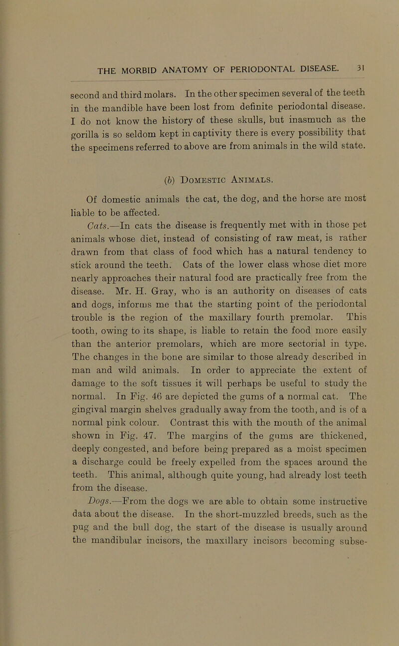 second and third molars. In the other specimen several of the teeth in the mandible have been lost from definite periodontal disease. I do not know the history of these skulls, but inasmuch as the gorilla is so seldom kept in captivity there is every possibility that the specimens referred to above are from animals in the wild state. (b) Domestic Animals. Of domestic animals the cat, the dog, and the horse are most liable to be affected. Cats.—In cats the disease is frequently met with in those pet animals whose diet, instead of consisting of raw meat, is rather drawn from that class of food which has a natural tendency to stick around the teeth. Cats of the lower class whose diet more nearly approaches their natural food are practically free from the disease. Mr. H. Gray, who is an authority on diseases of cats and dogs, informs me that the starting point of the periodontal trouble is the region of the maxillary fourth premolar. This tooth, owing to its shape, is liable to retain the food more easily than the anterior premolars, which are more sectorial in type. The changes in the bone are similar to those already described in man and wild animals. In order to appreciate the extent of damage to the soft tissues it will perhaps be useful to study the normal. In Fig. 46 are depicted the gums of a normal cat. The gingival margin shelves gradually away from the tooth, and is of a normal pink colour. Contrast this with the mouth of the animal shown in Fig. 47. The margins of the gums are thickened, deeply congested, and before being prepared as a moist specimen a discharge could be freely expelled from the spaces around the teeth. This animal, although quite young, had already lost teeth from the disease. Dogs.—From the dogs we are able to obtain some instructive data about the disease. In the short-muzzled breeds, such as the pug and the bull dog, the start of the disease is usually around the mandibular incisors, the maxillary incisors becomiug suhse-