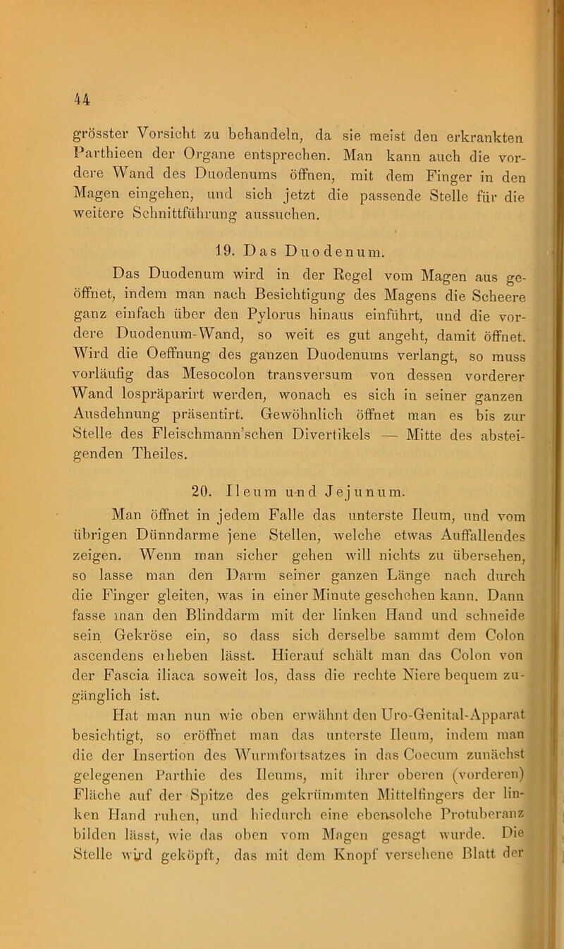 grösster Vorsicht zu behandeln, da sie meist den erkrankten Parthieen der Organe entsprechen. Man kann auch die vor- dere Wand des Duodenums öffnen, mit dem Finger in den Magen eingehen, und sich jetzt die passende Stelle für die weitere Schnittführung aussuchen. 19. Das Duodenum. Das Duodenum wird in der Regel vom Magen aus ge- öffnet, indem man nach Besichtigung des Magens die Scheere ganz einfach über den Pylorus hinaus einführt, und die vor- dere Duodenum-Wand, so weit es gut angeht, damit öffnet. Wird die Oeffnung des ganzen Duodenums verlangt, so muss vorläufig das Mesocolon transversum von dessen vorderer Wand lospräparirt werden, wonach es sich in seiner ganzen Ausdehnung präsentirt. Gewöhnlich öffnet man es bis zur Stelle des Fleischmann’schen Divertikels —- Mitte des abstei- genden Theiles. 20. Ileum und Jejunum. Man öffnet in jedem Falle das unterste Ileum, und vom übrigen Dünndarme jene Stellen, welche etwas Auffallendes zeigen. Wenn man sicher gehen will nichts zu übersehen, so lasse man den Darm seiner ganzen Länge nach durch die Finger gleiten, was in einer Minute geschehen kann. Dann fasse inan den Blinddarm mit der linken Hand und schneide sein Gekröse ein, so dass sich derselbe sammt dem Colon ascendens ei heben lässt. Hierauf schält man das Colon von der Fascia iliaca soweit los, dass die rechte Niere bequem zu- gänglich ist. Hat man nun wie oben erwähnt den Uro-Genital-Apparat besichtigt, so eröffnet man das unterste Ileum, indem man die der Insertion des Wurmfortsatzes in das Coecum zunächst gelegenen Parthie des Benins, mit ihrer oberen (vorderen) Fläche auf der Spitze des gekrümmten Mittelfingers der lin- ken Hand ruhen, und hiedurch eine ebensolche Protuberanz bilden lässt, wie das oben vom Magen gesagt wurde. Die Stelle wird geköpft, das mit dem Knopf versehene Blatt der