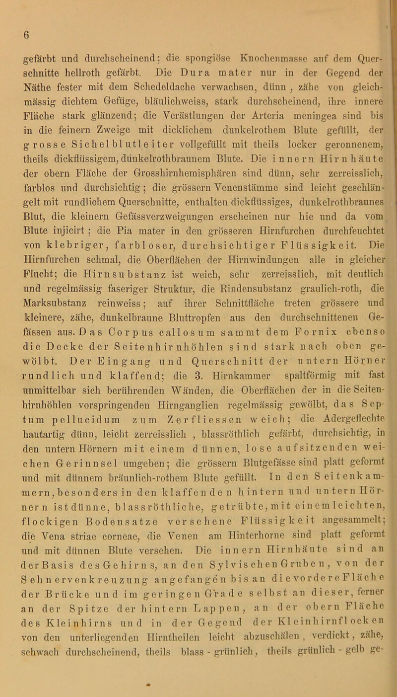 gefärbt und durchscheinend; die spongiöse Knochenmasse auf dem Quer- schnitte hellroth gefärbt. Die Dura mater nur in der Gegend der Näthe fester mit dem Schedeldache verwachsen, dünn , zähe von gleich- mässig dichtem Gefüge, bläulichvveiss, stark durchscheinend, ihre innere Fläche stark glänzend; die Verästlungen der Arteria meningea sind bis in die feinem Zweige mit dicklichem dunkelrothem Blute gefüllt, der grosse Sichelblutleiter vollgefüllt mit theils locker geronnenem, theils dickflüssigem,dünkelrothbraunem Blute. Die innern Hirnhäute der obern Fläche der Grosshirnhemisphären sind dünn, sehr zerreisslich, farblos und durchsichtig; die grossem Venenstämme sind leicht geschlän- gelt mit rundlichem Querschnitte, enthalten dickflüssiges, dunkelrothbraunes Blut, die kleinern Gefässverzweigungen erscheinen nur hie und da vom Blute injicirt ; die Pia mater in den grösseren Hirnfurchen durchfeuchtet von klebriger, farbloser, durchsichtiger Flüssigkeit. Die Hirnfurchen schmal, die Oberflächen der Hirnwindungen alle in gleicher Flucht; die Hirn Substanz ist weich, sehr zerreisslich, mit deutlich und regelmässig faseriger Struktur, die Rindensubstanz graulich-roth, die Marksubstanz reinweiss; auf ihrer Schnittfläche treten grössere und kleinere, zähe, dunkelbraune Bluttropfen aus den durchschnittenen Ge- fässen aus. D a s Corpus callosum sammt dem Fornix ebenso die Decke der Seitenhirnhöhlen sind stark nach oben ge- wölbt. Der Eingang und Querschnitt der untern Hörner rundlich und klaffend; die 3. Hirnkammer spaltförmig mit fast unmittelbar sich berührenden Wänden, die Oberflächen der in die Seiten- hirnhöhlen vorspringenden Hirnganglien regelmässig gewölbt, das Sep- tum pel lucidum zum Z er fli essen weich; die Adergeflechte hautartig dünn, leicht zerreisslich , blassröthlicli gefärbt, durchsichtig, in den untern Hörnern mit einem dünnen, lose aufsitzenden wei- chen Gerinnsel umgeben; die grossem Blutgefässe sind platt geformt und mit dünnem bräunlich-rothem Blute gefüllt. In den Seitenkam- mern, besonders in den klaffenden hintern und untern Hör- nern istdünne, bl assröthliche, getrübte,mit ein em leichten, f 1 ockigen Bodensätze versehene Flüssigkeit angesammelt; die Vena striae corneae, die Venen am Hinterhorne sind platt geformt und mit dünnen Blute versehen. Die innern Hirnhäute sind an derBasis des Gehirns, an den S yl v is ch en Grub e n , von der Sehnerven k reuz u n g a n g e f an ge n bis a n d i e vo r de r e F1 ä c h e der Brücke u n d im geringen Gr ade selbst an dieser, ferner an der Spitze der hintern Lappen, an der obern Fläche des Kleinhirns und in der Gegend der Kleinhirnflocken von den unterliegenden Hirntheilen leicht abzuschälen, verdickt, zähe, schwach durchscheinend, theils blass - grünlich, theils grünlich - gelb ge-