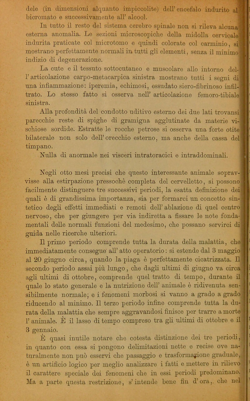dele (in dimensioni alquanto impiccolite) dell’encefalo indurito all bicromato e successivamente all’ alcool. In tutto il resto del sistema cerebro spinale non si rileva alcuna! esterna anomalia. Le sezioni microscopiche della midolla cervicaleii indurita praticate col microtomo e quindi colorate col carminio, si', mostrano perfettamente normali in tutti gli elementi, senza il minimo'! indizio di degenerazione. La cute e il tessuto sottocutaneo e muscolare allo intorno del- l’articolazione carpo-metacarpica sinistra mostrano tutti i segni di, una infiammazione; iperemia, echimosi, essudato siero-fibrinoso infil- trato. Lo stesso fatto si osserva nell’ articolazione femoro-tibiale)^ sinistra. Alla profondità del condotto uditivo esterno dei due lati trovansi parecchie reste di spighe di gramigna agglutinate da materie vi- schiose sordide. Estratte le rocche petrose si osserva una forte otite] bilaterale non solo dell’orecchio esterno, ma anche della cassa del|l timpano. Nulla di anormale nei visceri intratoracici e intraddominali. Negli otto mesi precisi che questo interessante animale soprav- visse alla estirpazione pressoché completa del cervelletto, si possono facilmente distinguere tre successivi periodi, la esatta definizione dei, quali è di grandissima importanza, sia per formarci un concetto sin- tetico degli effetti immediati e remoti dell’ ablazione di quel centro] nervoso, che per giungere per via indiretta a fissare le note fonda-i mentali delle normali funzioni del medesimo, che possano servirci di guida nelle ricerche ulteriori. n primo periodo comprende tutta la durata della malattia, che immediatamente consegue' aU’ atto operatorio : si estende dal 3 maggio al 20 giugno circa, quando la piaga è perfettamente cicatrizzata. Il secondo periodo assai più lungo, che dagli ultimi di giugno va circa; agli ultimi di ottobre, comprende quel tratto di tempo, durante ili quale lo stato generale e la nutrizione dell’ animale è ridivenuta sen- sibilmente normale; e i fenomeni morbosi si vanno a grado a gi’ado riducendo al minimo. Il terzo periodo infine comprende tutta la du- rata della malattia che sempre aggravandosi finisce per trarre a morte r animale. È il lasso di tempo compreso tra gH ultimi di ottobre e il 3 gennaio. È quasi inutile notare che cotesta distinzione dei tre periodi, in quanto con essa si pongono delimitazioni nette e recise ove na- turalmente non può osservi che passaggio e trasforma;^one graduale, è un artificio logico per meglio analizzare i fatti e mettere in rilievo | il carattere speciale dei fenomeni che in essi periodi predominano. 1 Ma a parte questa restrizione, s’intende bene fin d’ora,. che nel i
