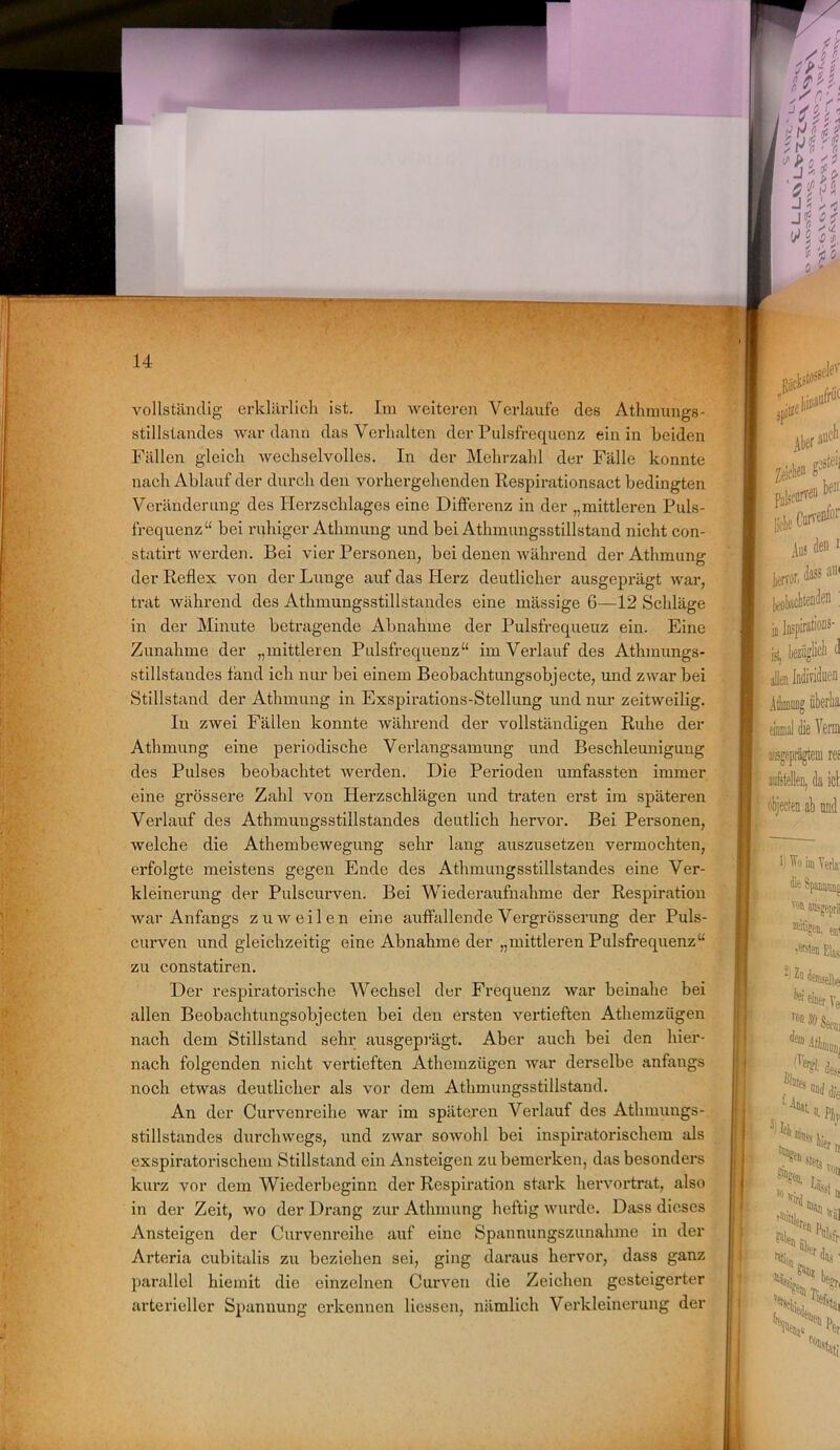 - 14 vollständig erklärlich ist. Im weiteren Verlaufe des Athmungs- stillstandes war dann das Verhalten der Pulsfrequenz ein in beiden Fällen gleich wechselvolles. In der Mehrzahl der Fälle konnte nach Ablauf der durch den vorhergehenden Respirationsact bedingten Veränderung des Herzschlages eine Differenz in der „mittleren Puls- frequenz“ bei ruhiger Athmung und bei Athmungsstillstand nicht con- statirt werden. Bei vier Personen, bei denen während der Athmung der Reflex von der Lunge auf das Herz deutlicher ausgeprägt war, trat während des Athmungsstillstandes eine mässige 6—12 Schläge in der Minute betragende Abnahme der Pulsfrequenz ein. Eine Zunahme der „mittleren Pulsfrequenz“ im Verlauf des Athmungs- stillstandes fand ich nur bei einem Beobachtungsobjecte, und zwar bei Stillstand der Athmung in Exspirations-Stellung und nur zeitweilig. In zwei Fällen konnte während der vollständigen Ruhe der Athmung eine periodische Verlangsamung und Beschleunigung des Pulses beobachtet werden. Die Perioden umfassten immer eine grössere Zahl von Herzschlägen und traten erst im späteren Verlauf des Athmungsstillstandes deutlich hervor. Bei Personen, welche die Athembewegung sehr lang auszusetzen vermochten, erfolgte meistens gegen Ende des Athmungsstillstandes eine Ver- kleinerung der Pulscurven. Bei Wiederaufnahme der Respiration war Anfangs zuweilen eine auffallende Vergrösserung der Puls- curven und gleichzeitig eine Abnahme der „mittleren Pulsfrequenz“ zu constatiren. Der respiratorische Wechsel der Frequenz war beinahe bei allen Beobachtungsobjecten bei den ersten vertieften Athemziigen nach dem Stillstand sehr ausgeprägt. Aber auch bei den hier- nach folgenden nicht vertieften Athemziigen war derselbe anfangs noch etwas deutlicher als vor dem Athmungsstillstand. An der Curvenreihe war im späteren Verlauf des Athmungs- stillstandes durchwegs, und zwrar sowohl bei inspiratorischem als exspiratorischem Stillstand ein Ansteigen zu bemerken, das besonders kurz vor dem Wiederbeginn der Respiration stark hervortrat, also in der Zeit, wo der Drang zur Athmung heftig wurde. Dass dieses Ansteigen der Curvenreihe auf eine Spannungszunahme in der Arteria cubitalis zu beziehen sei, ging daraus hervor, dass ganz parallel hieinit die einzelnen Curven die Zeichen gesteigerter arterieller Spannung erkennen Hessen, nämlich Verkleinerung der