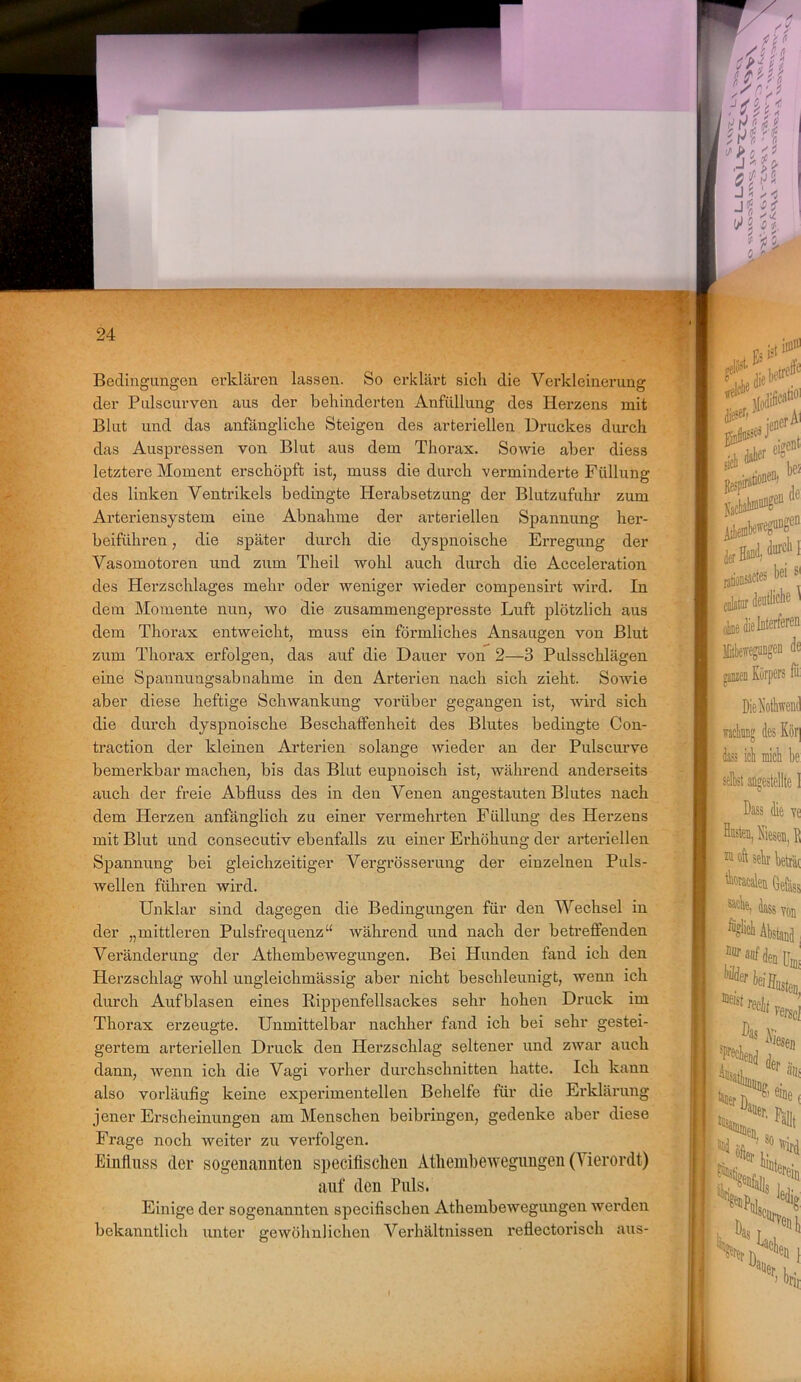 Bedingungen erklären lassen. So erklärt sich die Verkleinerung der Pulscurven aus der behinderten Anfüllung des Herzens mit Blut und das anfängliche Steigen des arteriellen Druckes durch das Auspressen von Blut aus dem Thorax. Sowie aber diess letztere Moment erschöpft ist, muss die durch verminderte Füllung des linken Ventrikels bedingte Herabsetzung der Blutzufuhr zum Arteriensystem eine Abnahme der arteriellen Spannung her- beiführen , die später durch die dyspnoische Erregung der Vasomotoren und zum Theil wohl auch durch die Acceleration des Herzschlages mehr oder weniger wieder compensirt wird. In dem Momente nun, wo die zusammengepresste Luft plötzlich aus dem Thorax entweicht, muss ein förmliches Ansaugen von Blut zum Thorax erfolgen, das auf die Dauer von 2—3 Pulsschlägen eine Spannungsabnahme in den Arterien nach sich zieht. Sowie aber diese heftige Schwankung vorüber gegangen ist, wird sich die durch dyspnoische Beschaffenheit des Blutes bedingte Con- traction der kleinen Arterien solange wieder an der Pulscurve bemerkbar machen, bis das Blut eupnoisch ist, während anderseits auch der freie Abfluss des in den Venen angestauten Blutes nach dem Herzen anfänglich zu einer vermehrten Füllung des Herzens mit Blut und consecutiv ebenfalls zu einer Erhöhung der arteriellen Spannung bei gleichzeitiger Vergrösserung der einzelnen Puls- wellen führen wird. Unklar sind dagegen die Bedingungen für den Wechsel in der „mittleren Pulsfrequenz“ während und nach der betreffenden Veränderung der Athembewegungen. Bei Hunden fand ich den Herzschlag wohl ungleichmässig aber nicht beschleunigt, wenn ich durch Aufblasen eines Rippenfellsackes sehr hohen Druck im Thorax erzeugte. Unmittelbar nachher fand ich bei sehr gestei- gertem arteriellen Druck den Herzschlag seltener und zwar auch dann, wenn ich die Vagi vorher durchschnitten hatte. Ich kann also vorläufig keine experimentellen Behelfe für die Erklärung jener Erscheinungen am Menschen beibringen, gedenke aber diese Frage noch weiter zu verfolgen. Einfluss der sogenannten specifisclien Athembewegungen (Vierordt) auf den Puls. Einige der sogenannten specifisclien Athembewegungen werden bekanntlich unter gewöhnlichen Verhältnissen reflectorisch aus-