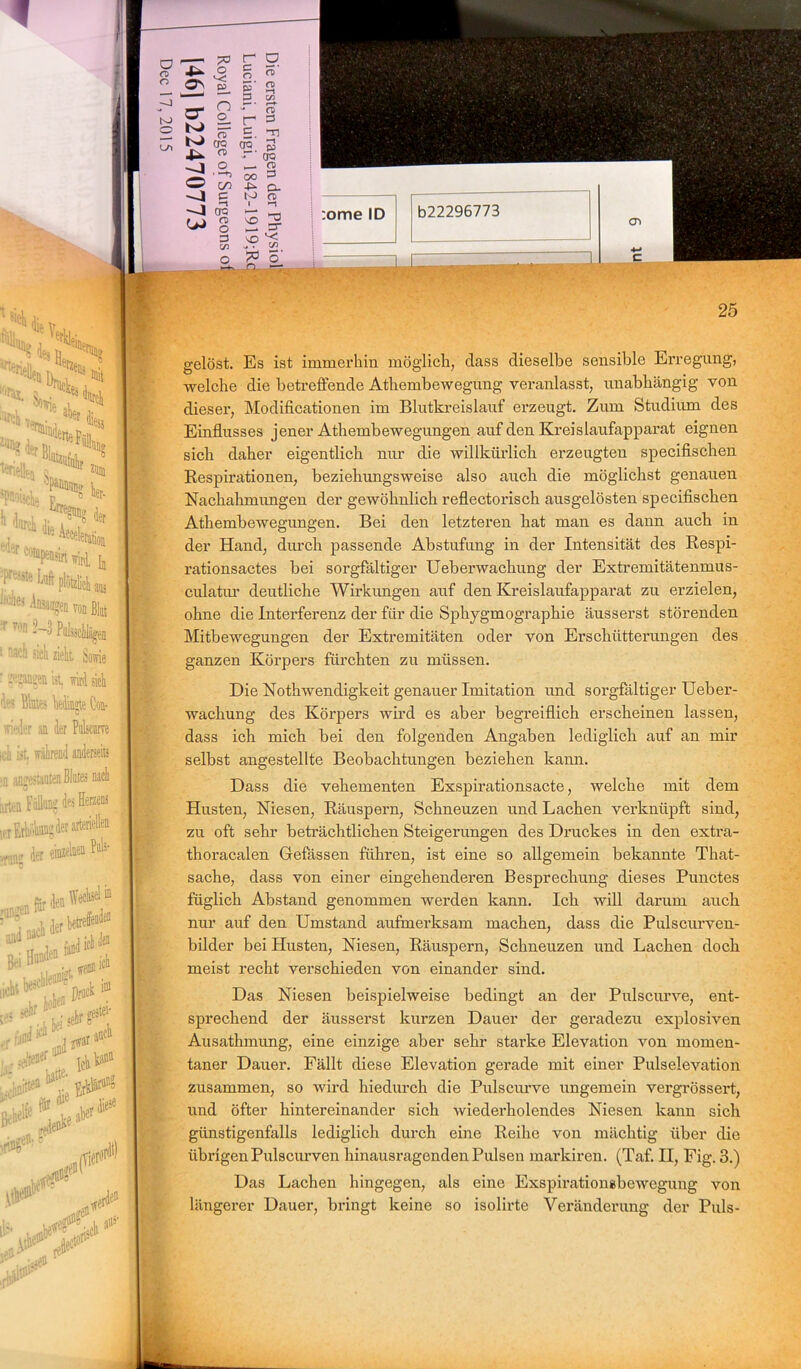 gelöst. Es ist immerhin möglich, dass dieselbe sensible Erregung, welche die betreffende Athembewegung veranlasst, unabhängig von dieser, Modifikationen im Blutkreislauf erzeugt. Zum Studium des Einflusses jener Athembewegungen auf den Kreislaufapparat eignen sich daher eigentlich nur die willkürlich erzeugten specifischen Respirationen, beziehungsweise also auch die möglichst genauen Nachahmungen der gewöhnlich reflectorisch ausgelösten specifischen Athembewegungen. Bei den letzteren hat man es dann auch in der Hand, durch passende Abstufung in der Intensität des Respi- rationsactes bei sorgfältiger Ueberwachung der Extremitätenmus- culatur deutliche Wirkungen auf den Kreislaufapparat zu erzielen, ohne die Interferenz der für die Sphygmographie äusserst störenden Mitbewegungen der Extremitäten oder von Erschütterungen des ganzen Körpers fürchten zu müssen. Die Nothwendigkeit genauer Imitation und sorgfältiger Ueber- wachung des Körpers wird es aber begreiflich erscheinen lassen, dass ich mich bei den folgenden Angaben lediglich auf an mir selbst angestellte Beobachtungen beziehen kann. Dass die vehementen Exspirationsacte, welche mit dem Husten, Niesen, Räuspern, Schneuzen und Lachen verknüpft sind, zu oft sehr beträchtlichen Steigerungen des Druckes in den extra- thoracalen Gefässen führen, ist eine so allgemein bekannte That- sache, dass von einer eingehenderen Besprechung dieses Punctes füglich Abstand genommen werden kann. Ich will darum auch nur auf den Umstand aufmerksam machen, dass die Pulscurven- bilder bei Husten, Niesen, Räuspern, Schneuzen und Lachen doch meist recht verschieden von einander sind. Das Niesen beispielweise bedingt an der Pulscurve, ent- sprechend der äusserst kurzen Dauer der geradezu explosiven Ausathmung, eine einzige aber sehr starke Elevation von momen- taner Dauer. Fällt diese Elevation gerade mit einer Pulselevation zusammen, so wird hiedurch die Pulscurve ungemein vergrössert, und öfter hintereinander sich wiederholendes Niesen kann sich günstigenfalls lediglich durch eine Reihe von mächtig über die übrigen Pulscurven hinausragenden Pulsen markiren. (Taf. II, Fig. 3.) Das Lachen hingegen, als eine Exspirationsbewegung von längerer Dauer, bringt keine so isolh-te Veränderung der Puls-