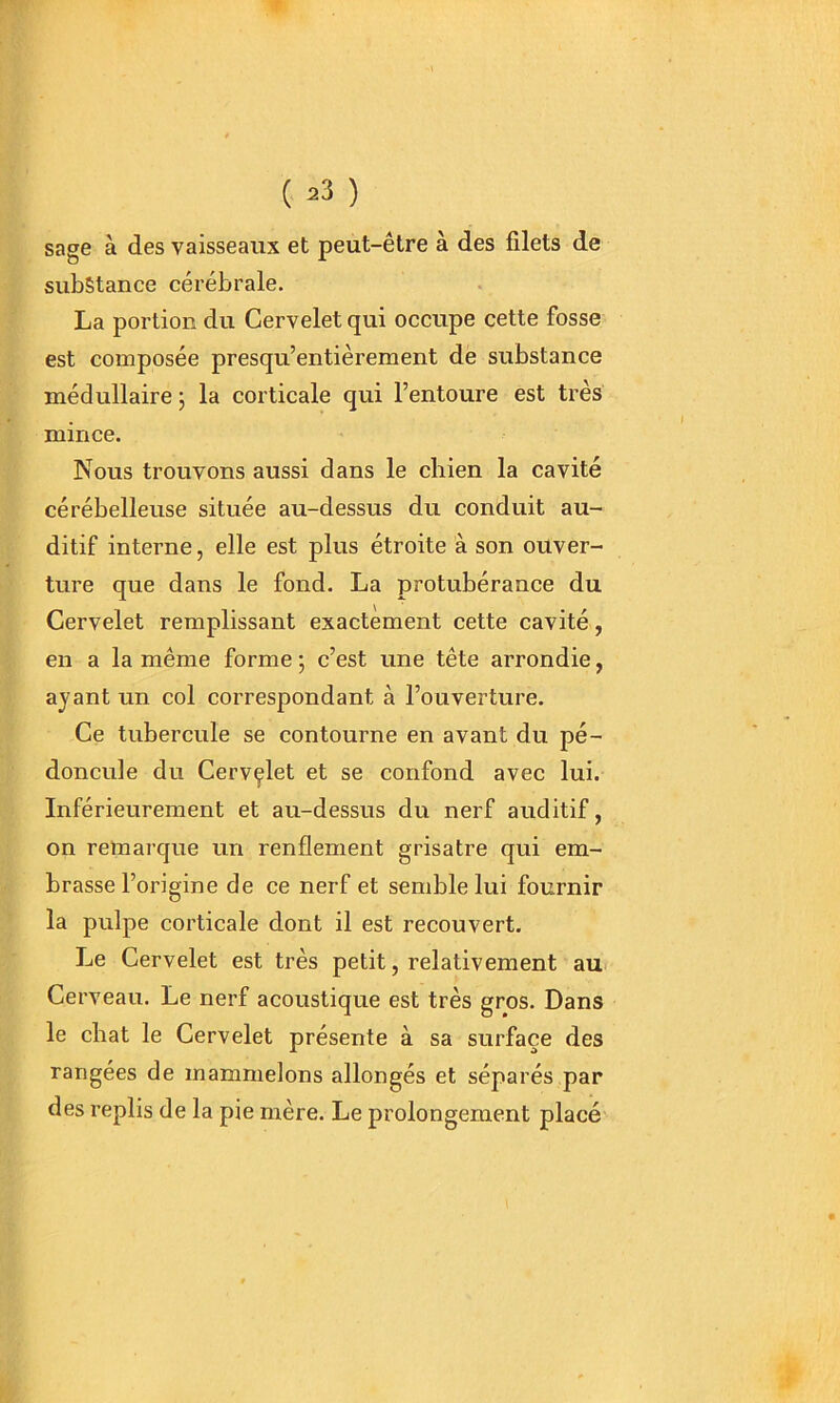 sage à des vaisseaux et peut-être à des filets de substance cérébrale. La portion du Cervelet qui occupe cette fosse est composée presqu’entièrement de substance médullaire ; la corticale qui l’entoure est très mince. Nous trouvons aussi dans le chien la cavité cérébelleuse située au-dessus du conduit au- ditif interne, elle est plus étroite à son ouver- ture que dans le fond. La protubérance du Cervelet remplissant exactement cette cavité, en a la même forme ; c’est une tête arrondie, ayant un col correspondant à l’ouverture. Ce tubercule se contourne en avant du pé- doncule du Cervçlet et se confond avec lui. Inférieurement et au-dessus du nerf auditif, on remarque un renflement grisâtre qui em- brasse l’origine de ce nerf et semble lui fournir la pulpe corticale dont il est recouvert. Le Cervelet est très petit, relativement aur Cerveau. Le nerf acoustique est très gros. Dans le chat le Cervelet présente à sa surface des rangées de mammelons allongés et séparés par des replis de la pie mère. Le prolongement placé