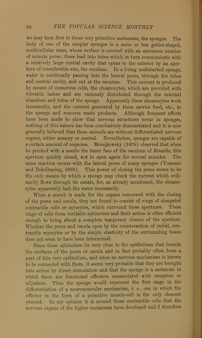 we may turn first to those very primitive metazoans, the sponges. The body of one of the simpler sponges is a more or less goblet-shaped, multicellular mass, whose surface is covered with an enormous number of minute pores; these lead into tubes which in turn communicate with a relatively large central cavity that opens to the exterior by an aper- ture of considerable size, the osculum. In a living undisturbed sponge, water is continually passing into the lateral pores, through the tubes and central cavity, and out at the osculum. This current is produced by means of numerous cells, the choanocytes, which are provided with vibratile lashes and are variously distributed through the internal chambers and tubes of the sponge. Apparently these choanocytes work incessantly, and the current generated by them carries food, etc., to the sponge and removes waste products. Although frequent efforts have been made to show that nervous structures occur in sponges, nothing of this nature has been conclusively- demonstrated and it is now generally believed that these animals are without differentiated nervous organs, either sensory or central. Nevertheless, sponges are capable of a certain amount of response. Merejkowsky (1878) observed that when he pricked with a needle the inner face of the osculum of Rinalda, this aperture quickly closed, not to open again for several minutes. The same reaction occurs with the lateral pores of many sponges (Yosmaer and Pekelharing, 1898). This power of closing the pores seems to be the only means by which a sponge may check the current which ordi- narily flows through its canals, for, as already mentioned, the choano- cytes apparently lash the water incessantly. When a search is made for the organs concerned with the closing of the pores and oscula, they are found to consist of rings of elongated contractile cells or myocytes, which surround these apertures. These rings of cells form veritable sphincters and their action is often efficient enough to bring about a complete temporary closure of the aperture. WTrether the pores and oscula open by the counteraction of radial, con- tractile myocytes or by the simple elasticity of the surrounding tissue does not seem to have been determined. Since these sphincters lie very close to the epithelium that bounds the surfaces of the pores or oscula and in fact probably often form a part of this very epithelium, and since no nervous mechanism is known to be connected with them, it seems very probable that they are brought into action by direct stimulation and that the sponge is a metazoan in which there are functional effectors unassociated with receptors or adjustors. Thus the sponge would represent the first stage in tlie differentiation of a neuromuscular mechanism, i. e., one in which the effector in the form of a primitive muscle-cell is the only element present. In my opinion it is around these contractile cells that the nervous organs of the higher metazoans have developed and I therefore