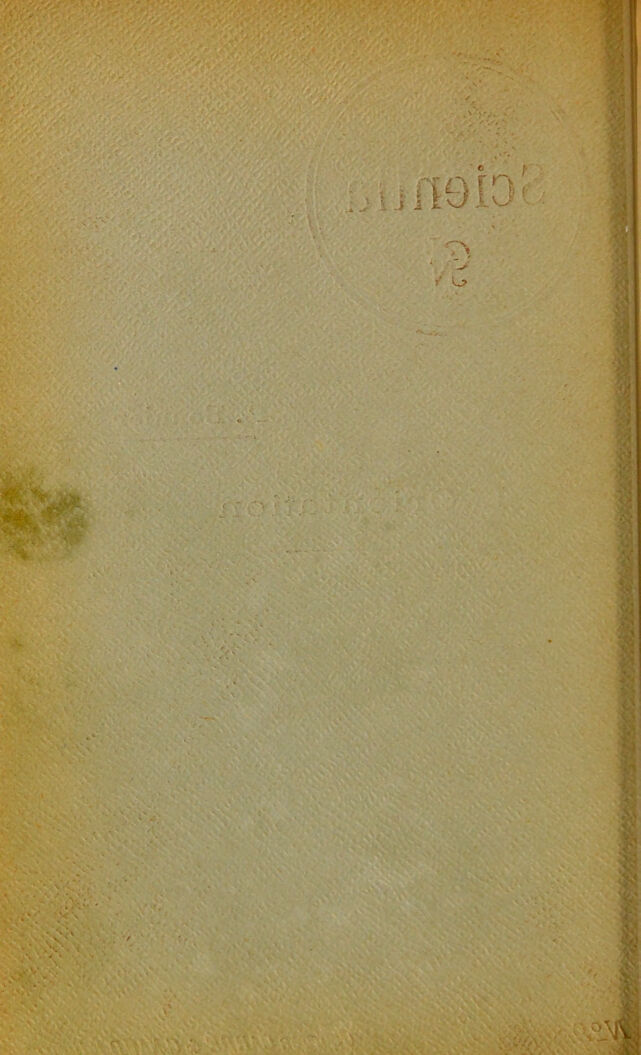 digitised image 2