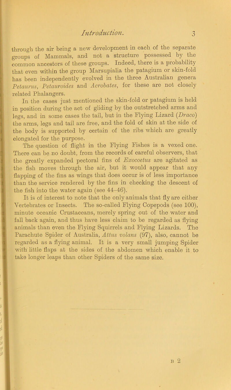 through the air being a new development in each of the separate groups of Mammals, and not a structure possessed by the common ancestors of these groups. Indeed, there is a probability that even within the group Marsupialia the patagium or skin-fold has been independently evolved in the three Australian genera Petaunis, Petauroides and Acrohates, for these are not closely related Phalangers. In the cases just mentioned the skin-fold or patagium is held in position during the act of gliding by the outstretched arms and legs, and in some cases the tail, but in the Flying Lizard {Draco) the arms, legs and tail are free, and the fold of skin at the side of the body is supported by certain of the ribs which are greatly elongated for the purpose. The question of flight in the Flying Fishes is a vexed one. There can be no doubt, from the records of careful observers, that the greatly expanded pectoral fins of Exocoetus are agitated as the fish moves through the air, but it would appear that any flapping of the fins as wings that does occur is of less importance than the service rendered by the fins in checking the descent of the fish into the water again (see 44-46). It is of interest to note that the only animals that fly are either Vertebrates or Insects. The so-called Flying Copepods (see 100), minute oceanic Crustaceans, merely spring out of the water and fall back again, and thus have less claim to be regarded as flying animals than even the Flying Squirrels and Flying Lizards. The Parachute Spider of Austraha, Attus volans (97), also, cannot be regarded as a flying animal. It is a very small jumping Spider with little flaps at the sides of the abdomen which enable it to take longer leaps than other Spiders of the same size.