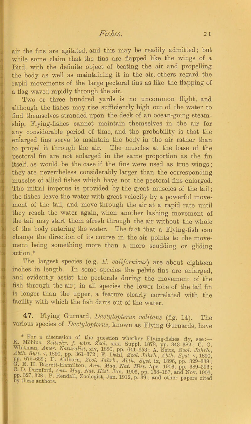 air the fins are agitated, and this may be readily admitted; but while some claim that the fins are flapped hke the wings of a Bird, with the definite object of beating the air and propelling the body as well as maintaining it in the air, others regard the rapid movements of the large pectoral fins as like the flapping of a flag waved rapidly through the air. Two or three hundred yards is no uncommon flight, and although the fishes may rise sufficiently high out of the water to find themselves stranded upon the deck of an ocean-going steam- ship, Flying-fishes cannot maintain themselves in the air for any considerable period of time, and the probability is that the enlarged fins serve to maintain the body in the air rather than to propel it through the air. The muscles at the base of the pectoral fin are not enlarged in the same proportion as the fin itself, as would be the case if the fins were used as true wings; they are nevertheless considerably larger than the corresponding muscles of allied fishes which have not the pectoral fins enlarged. The initial impetus is provided by the great muscles of the tail; the fishes leave the water with great velocity by a powerful move- ment of the tail, and move through the air at a rapid rate until they reach the water again, when another lashing movement of the tail may start them afresh through the air without the whole I of the body entering the water. The fact that a Flying-fish can ) change the direction of its course in the air points to the move- 1 ment being something more than a mere scudding or gliding ! action.* The largest species (e.g. E. californicus) are about eighteen i inches in length. In some species the pelvic fins are enlarged, and evidently assist the pectorals during the movement of the I fish through the air; in all species the lower lobe of the tail fin ; is longer than the upper, a feature clearly correlated with the ; facility with which the fish darts out of the water. 47. Flying Gurnard, Dactylopterus voUtans (fig. 14). The ■ various species of Dactylopterus, known as Flying Gurnards, have ^ discussion of the question whether Flying-fishes fly, see:— f. wiss. Zool. xxx. Suppl. 1878, pp. 343-382; G. 0. xiv, 1880, pp. 641-653; A. Seitz, Zool. Jahrb., 1890 pp. 361-372; F. Dahl, Zool. Jahrb., Abth. Syst. v, 1890; PP- Ahlborn, Zool. Jahrb., Abth. Syst. ix, 1896, pp. 329-338; n’-rT'-rT' ■““'i®tt-Hamilton, Ann. Mag. Nat. Hist. Apr. 1903, pp. 389-393; Nat. Hist. Jan. 1906, pp. 158-167, and Nov. 1906, pp. dZ7, 328 j^P. Kendall, Zoologist, Jan. 1912, p. 39; and other papers cited