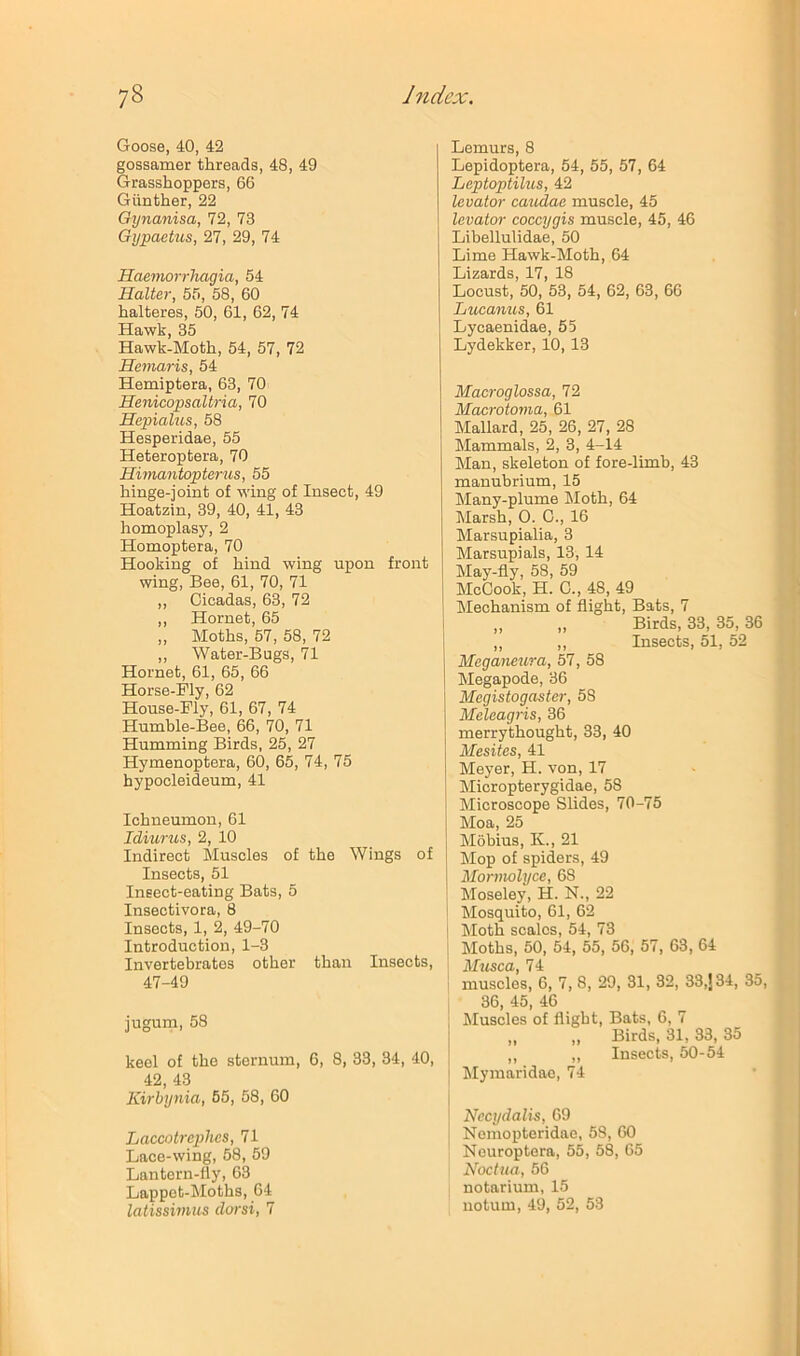 Goose, 40, 42 gossamer threads, 48, 49 Grasshoppers, 66 Giinther, 22 Gynanisa, 72, 73 Gypactus, 27, 29, 74 Haemorrhagia, 54 Halter, 55, 58, 60 halteres, 50, 61, 62, 74 Hawk, 35 Hawk-Moth, 54, 57, 72 Hemaris, 54 Hemiptera, 63, 70 Henicopsaltria, 70 Hepialus, 58 Hesperidae, 55 Heteroptera, 70 Hwiantopterus, 55 hinge-joint of wing of Insect, 49 Hoatzin, 39, 40, 41, 43 homoplasy, 2 Homoptera, 70 Hooking of hind wing upon front wing, Bee, 61, 70, 71 ,, Cicadas, 63, 72 ,, Hornet, 65 „ Moths, 57, 58, 72 ,, Water-Bugs, 71 Hornet, 61, 65, 66 Horse-Ply, 62 House-Fly, 61, 67, 74 Humhle-Bee, 66, 70, 71 Humming Birds, 25, 27 Hymenoptera, 60, 65, 74, 75 hypooleideum, 41 Ichneumon, 61 Idiurus, 2, 10 Indirect Muscles of the Wings of Insects, 51 Insect-eating Bats, 5 Insectivora, 8 Insects, 1, 2, 49-70 Introduction, 1-3 Invertebrates other than Insects, 47-49 jugum, 58 keel of the sternum, 6, 8, 33, 34, 40, 42, 43 Kirbynia, 65, 58, 60 Laccotrcphcs, 71 Lace-wing, 58, 59 Lantern-fly, 63 Lappet-Moths, 64 latissinius dorsi, 7 I Lemurs, 8 ' Lepidoptera, 54, 55, 57, 64 Leptoptilus, 42 ( levator caudae muscle, 45 levator coccygis muscle, 45, 46 Libellulidae, 50 Lime Hawk-Moth, 64 Lizards, 17, 18 Locust, 50, 53, 54, 62, 63, 66 Lucanus, 61 Lycaenidae, 55 ; Lydekker, 10, 13 ( Macroglossa, 72 •' Macrotovia, 61 ’ Mallard, 25, 26, 27, 28 Mammals, 2, 3, 4-14 J Man, skeleton of fore-limb, 43 manubrium, 15 Many-plume Moth, 64 ' klarsh, 0. C., 16 , Marsupialia, 3 Marsupials, 13,14 May-fly, 58, 59 McCook, H. C., 48, 49 1 Mechanism of flight. Bats, 7 ,, ,, Birds, 33, 35,36 „ ,, Insects, 51, 52 Meganeura, 57, 58 Megapode, 36 Megistogaster, 58 Meleagris, 36 merrythought, 33, 40 Mesites, 41 Meyer, H. von, 17 Micropterygidae, 58 Microscope Slides, 70-75 Moa, 25 Mobius, K., 21 Mop of spiders, 49 Mormolyce, 68 Moseley, H. N., 22 Mosquito, 61, 62 Moth scales, 54, 73 Moths, 50, 54, 55, 56, 57, 63, 64 liTicsca 74 muscles, 6, 7, 8, 29, 31, 32, 33,j34, 35, 36, 45, 46 Muscles of flight. Bats, 6, 7 „ „ Birds, 31, 33, 35 ,, „ Insects, 50-54 Mymaridao, 74 Necydalis, 69 Nemopteridae, 58, 60 Neuroptera, 55, 58, 65 Noctna, 56 notarium, 15 notum, 49, 52, 53 I