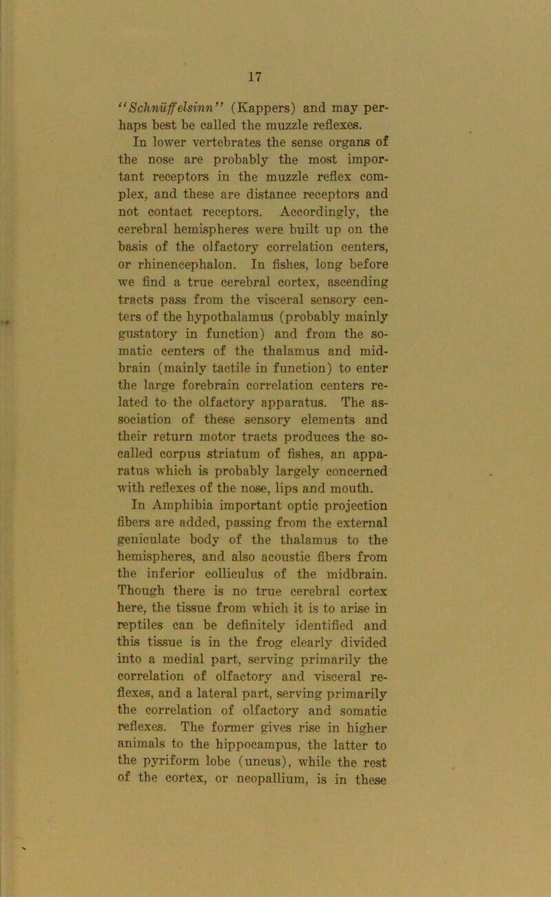 Schnuffelsinn” (Kappers) and may per- haps best be called the muzzle reflexes. In lower vertebrates the sense organs of the nose are probably the most impor- tant receptors in the muzzle reflex com- plex, and these are distance receptors and not contact receptors. Accordingly, the cerebral hemispheres were built up on the basis of the olfactory correlation centers, or rhineneephalon. In fishes, long before we find a true cerebral cortex, ascending tracts pass from the visceral sensory cen- ters of the hypothalamus (probably mainly gustatory in function) and from the so- matic centers of the thalamus and mid- brain (mainly tactile in function) to enter the large forebrain correlation centers re- lated to the olfactory apparatus. The as- sociation of these sensory elements and their return motor tracts produces the so- called corpus striatum of fishes, an appa- ratus which is probably largely concerned w'ith reflexes of the nose, lips and mouth. In Amphibia important optic projection fibers are added, passing from the external geniculate body of the thalamus to the hemispheres, and also acoustic fibers from the inferior colliculus of the midbrain. Though there is no true cerebral cortex here, the tissue from which it is to arise in reptiles can be definitely identified and this tissue is in the frog clearly divided into a medial part, serving primarily the correlation of olfactory and visceral re- flexes, and a lateral part, serving primarily the correlation of olfactory and somatic reflexes. The former gives rise in higher animals to the hippocampus, the latter to the pyriform lobe (uncus), while the rest of the cortex, or neopallium, is in these