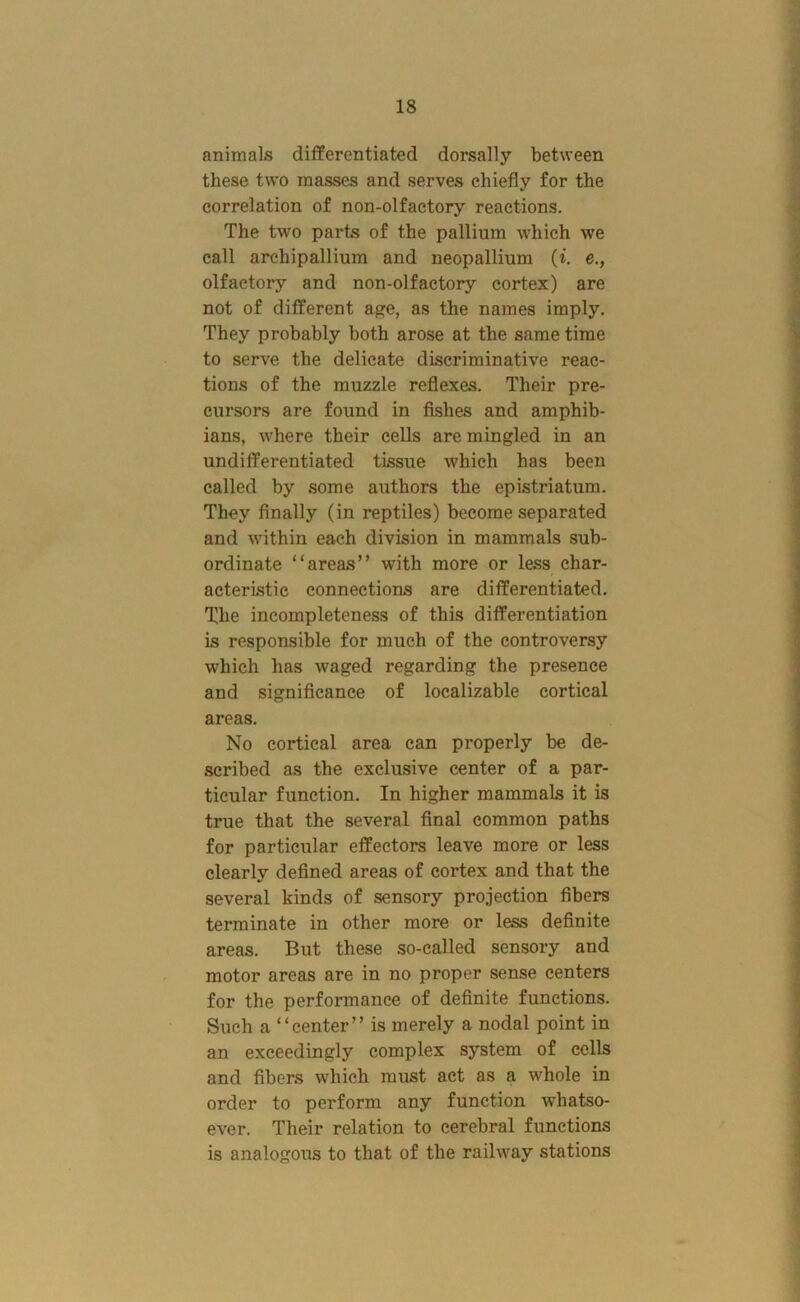 animals dilferentiated dorsally between these two masses and serves chiefly for the correlation of non-olfactory reactions. The two parts of the pallium which we call archipallium and neopallium (i. e., olfactory and non-olfactory cortex) are not of different age, as the names imply. They probably both arose at the same time to serve the delicate discriminative reac- tions of the muzzle reflexes. Their pre- cursors are found in fishes and amphib- ians, where their cells are mingled in an undifferentiated tissue which has been called by some authors the epistriatum. They finally (in reptiles) become separated and within each division in mammals sub- ordinate “areas” with more or less char- acteristic connections are differentiated. The incompleteness of this differentiation is responsible for much of the controversy which has waged regarding the presence and significance of localizable cortical areas. No cortical area can properly be de- scribed as the exclusive center of a par- ticular function. In higher mammals it is true that the several final common paths for particular effectors leave more or less clearly defined areas of cortex and that the several kinds of sensory projection fibers terminate in other more or less definite areas. But these so-called sensory and motor areas are in no proper sense centers for the performance of definite functions. Such a “center” is merely a nodal point in an exceedingly complex system of cells and fibers which must act as a whole in order to perform any function whatso- ever. Their relation to cerebral functions is analogous to that of the railway stations