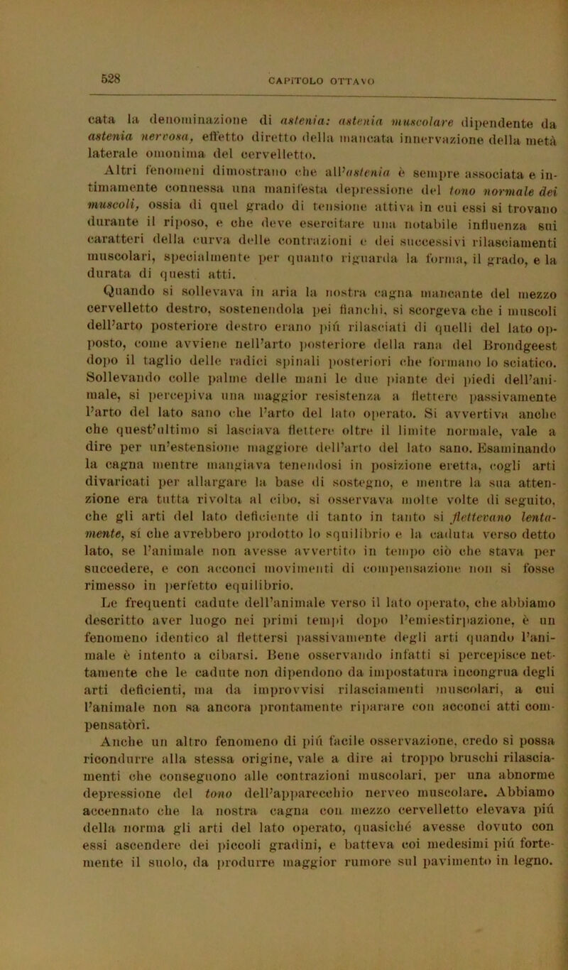 cata la denominazione di astenia: astenia muscolare dipendente da astenia nervosaf effetto diretto della mancata innervazione della metà laterale omonima del cervelletto. Altri fenomeni dimostrano (die &W astenia* è sempre associata e in- cimamente connessa una manifesta depressione del tono normale dei 'muscoli, ossia di quel grado di tensione attiva in cui essi si trovano durante il riposo, e che deve esercitare una notabile influenza sui caratteri della curva delle contrazioni e dei successivi rilasciamenti muscolari, specialmente per quanto riguarda la forma, il grado, e la durata di questi atti. Quando si sollevava in aria la nostra cagna mancante del mezzo cervelletto destro, sostenendola pei fianchi, si scorgeva che i muscoli dell’arto posteriore destro erano piu rilasciati di quelli del lato op- posto, come avviene nell’arto posteriore della rana del Brondgeest dopo il taglio delle radici spinali posteriori che formano lo sciatico. Sollevando colle palme delle mani le due piante dei piedi dell’ani- male, si percepiva una maggior resistenza a flettere passivamente l’arto del lato sano che l’arto del lato operato. Si avvertiva anche che quest’ultimo si lasciava flettere oltre il limite normale, vale a dire per un’estensione maggiore dell’arto del lato sano. Esaminando la cagna mentre mangiava tenendosi in posizione eretta, cogli arti divaricati per allargare la base di sostegno, e mentre la sua atten- zione era tutta rivolta al cibo, si osservava molte volte di seguito, che gli arti del lato deficiente di tanto in tanto si flettevano lenta- mente, si che avrebbero prodotto lo squilibrio e la caduta verso detto lato, se l’animale non avesse avvertito in tempo ciò che stava per succedere, e con acconci movimenti di compensazione non si fosse rimesso in perfetto equilibrio. Le frequenti cadute dell’animale verso il lato operato, che abbiamo descritto aver luogo nei primi tempi dopo l’emiestirpazione, è un fenomeno identico al flettersi passivamente degli arti quando l’ani- male è intento a cibarsi. Bene osservando infatti si percepisce net- tamente che le cadute non dipendono da impostatura incongrua degli arti deficienti, ma da improvvisi rilasciamenti muscolari, a cui l’animale non sa ancora prontamente riparare con acconci atti com- pensatori. Anche un altro fenomeno di piu facile osservazione, credo si possa ricondurre alla stessa origine, vale a dire ai troppo bruschi rilascia- menti che conseguono alle contrazioni muscolari, per una abnorme depressione del tono dell’apparecchio nerveo muscolare. Abbiamo accennato che la nostra cagna con mezzo cervelletto elevava pili della norma gli arti del lato operato, quasiché avesse dovuto con essi ascendere dei piccoli gradini, e batteva coi medesimi più forte- mente il suolo, da produrre maggior rumore sul pavimento in legno.