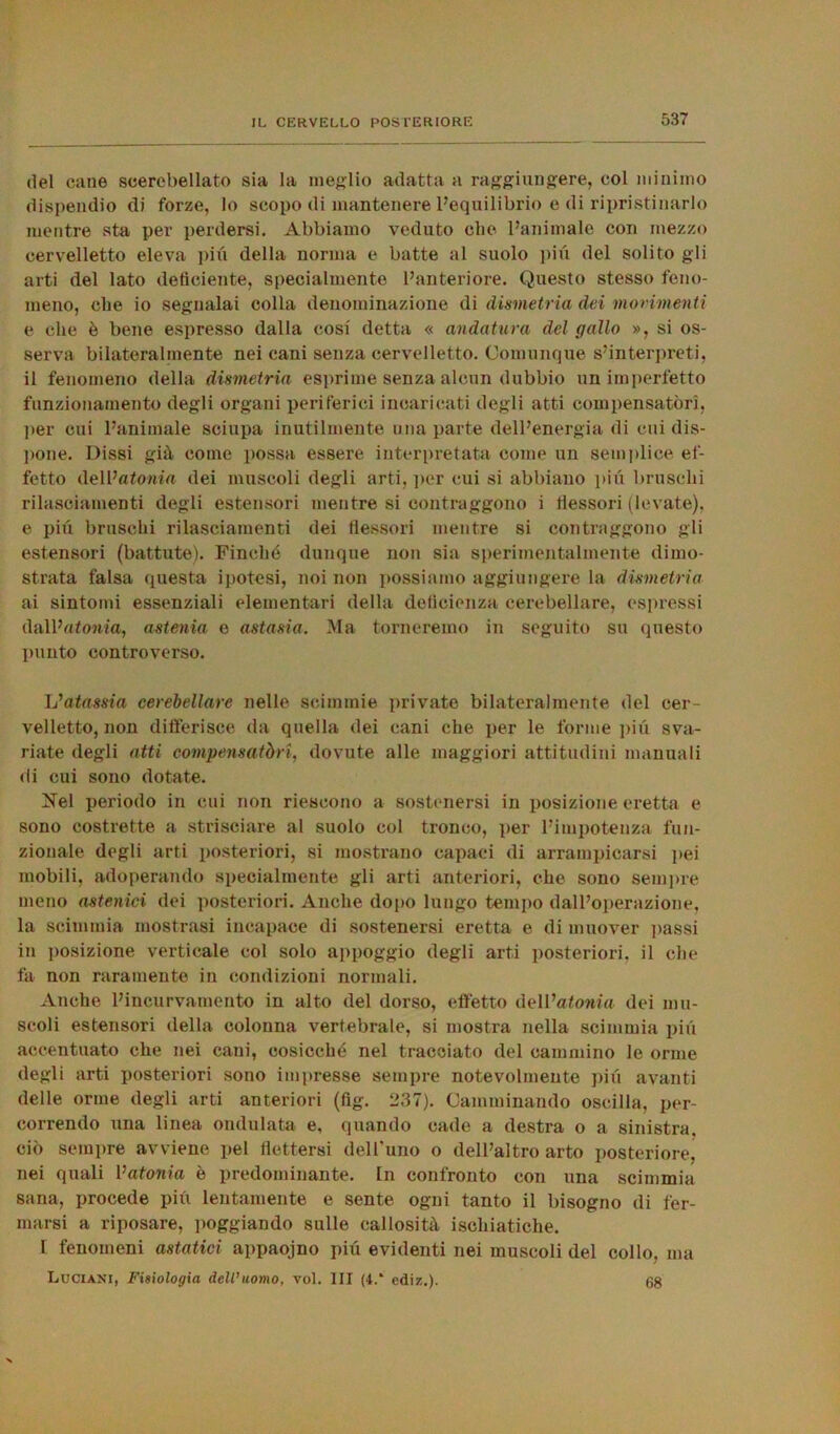 del cane scercbellato sia la meglio adatta a raggiungere, col minimo dispendio di forze, lo scopo di mantenere l’equilibrio e di ripristinarlo mentre sta per perdersi. Abbiamo veduto che l’animale con mezzo cervelletto eleva più della norma e batte al suolo più del solito gli arti del lato deficiente, specialmente l’anteriore. Questo stesso feno- meno, che io segnalai colla denominazione di dismetria dei movimenti e che è bene espresso dalla cosi detta « andatura del gallo », si os- serva bilateralmente nei cani senza cervelletto. Comunque s’interpreti, il fenomeno della dismetria esprime senza alcun dubbio un imperfetto funzionamento degli organi periferici incaricati degli atti compensatori, per cui l’animale sciupa inutilmente una parte dell’energia di cui dis- pone. Dissi già come possa essere interpretata come un semplice ef- fetto dell’atonia dei muscoli degli arti, per cui si abbiano piu bruschi rilasciamenti degli estensori mentre si contraggono i flessori (levate), e più bruschi rilasciamenti dei flessori mentre si contraggono gli estensori (battute). Finché dunque non sia sperimentalmente dimo- strata falsa questa ipotesi, noi non possiamo aggiungere la dismetria ai sintomi essenziali elementari della deficienza cerebellare, espressi dall’atonia, astenia e astasia. Ma torneremo in seguito su questo punto controverso. L’atassia cerebellare nelle scimmie private bilateralmente del cer- velletto, non differisce da quella dei cani che per le forme più sva- riate degli atti compensatòri, dovute alle maggiori attitudini manuali di cui sono dotate. 27el periodo in cui non riescono a sostenersi in posizione eretta e sono costrette a strisciare al suolo col tronco, per l’impotenza fun- zionale degli arti posteriori, si mostrano capaci di arrampicarsi pei mobili, adoperando specialmente gli arti anteriori, che sono sempre meno astenici dei posteriori. Anche dopo lungo tempo dall’operazione, la scimmia mostrasi incapace di sostenersi eretta e di muover passi in posizione verticale col solo appoggio degli arti posteriori, il che fa non raramente in condizioni normali. Anche l’incurvamento in alto del dorso, effetto dell’afonia dei mu- scoli estensori della colonna vertebrale, si mostra nella scimmia più accentuato clie nei cani, cosicché nel tracciato del cammino le orme degli arti posteriori sono impresse sempre notevolmente più avanti delle orme degli arti anteriori (fig. 237). Camminando oscilla, per- correndo una linea ondulata e, quando cade a destra o a sinistra, ciò sempre avviene pel flettersi dell’uno o dell’altro arto posteriore, nei quali Vatonia è predominante. In confronto con una scimmia sana, procede più lentamente e sente ogni tanto il bisogno di fer- marsi a riposare, poggiando sulle callosità ischiatiche. I fenomeni astatici appaojno più evidenti nei muscoli del collo, ma Luciani, Fisiologia dell’uomo, voi. Ili (4.‘ ediz.). 68