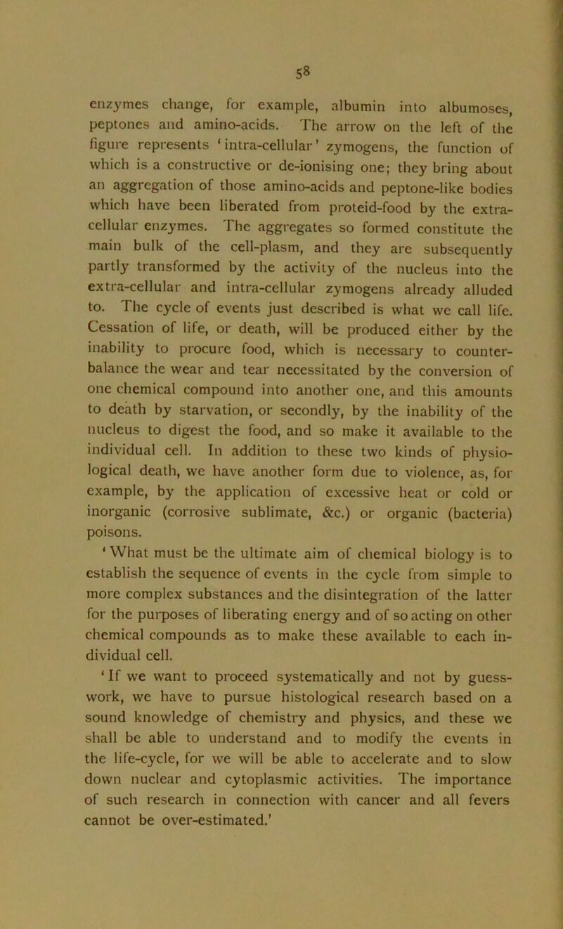 enzymes change, for example, albumin into albumoses, peptones and amino-acids. The arrow on the left of the figure represents ‘ intra-cellular ’ zymogens, the function of which is a constructive or de-ionising one; they bring about aggregation of those amino-acids and peptone-like bodies which have been liberated from proteid-food by the extra- cellular enzymes. The aggregates so formed constitute the main bulk of the cell-plasm, and they are subsequently partly transformed by the activity of the nucleus into the extra-cellular and intra-cellular zymogens already alluded to. The cycle of events just described is what we call life. Cessation of life, or death, will be produced either by the inability to procure food, which is necessary to counter- balance the wear and tear necessitated by the conversion of one chemical compound into another one, and this amounts to death by starvation, or secondly, by the inability of the nucleus to digest the food, and so make it available to the individual cell. In addition to these two kinds of physio- logical death, we have another form due to violence, as, for example, by the application of excessive heat or cold or inorganic (corrosive sublimate, &c.) or organic (bacteria) poisons. ‘ What must be the ultimate aim of chemical biology is to establish the sequence of events in the cycle from simple to more complex substances and the disintegration of the latter for the purposes of liberating energy and of so acting on other chemical compounds as to make these available to each in- dividual cell. ‘ If we want to proceed systematically and not by guess- work, we have to pursue histological research based on a sound knowledge of chemistry and physics, and these we shall be able to understand and to modify the events in the life-cycle, for we will be able to accelerate and to slow down nuclear and cytoplasmic activities. The importance of such research in connection with cancer and all fevers cannot be over-estimated.’