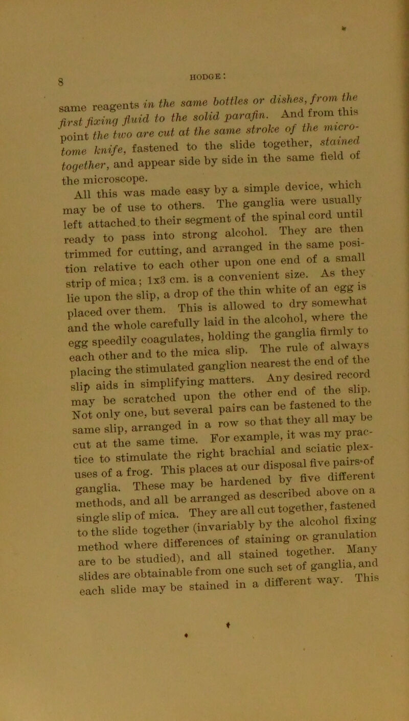 same reagents w the same bottles or dishes, from the first fixing fluid to the solid parafin. And from this ioint the hvo are cut at the same stroke of the micio- Ze knife, fastened to the slide together. « together, and appear side by side in the same field ‘'ln‘Z'wrs made easy by a simple device, which may be of use to others. The ganglia were usually left attached to their segment of the spinal cord until ready to pass into strong alcohol. They are then trimLd for cutting, and arranged in the Bame ^s - tion relative to each other upon “f a small Strip of mica; 1x3 cm. is a convenient size. A > lie upon the slip, a drop of the thin white of an egg is placrd over them. This is allowed to dry somewha and the whole carefully laid in the alcohol, “ speedily coagulates, hol^^ each other and to the mica slip. =:»= EHS: same slip, arrangeu m u wns mv nrac- 4- o+ +he same time. For example, it was my prai