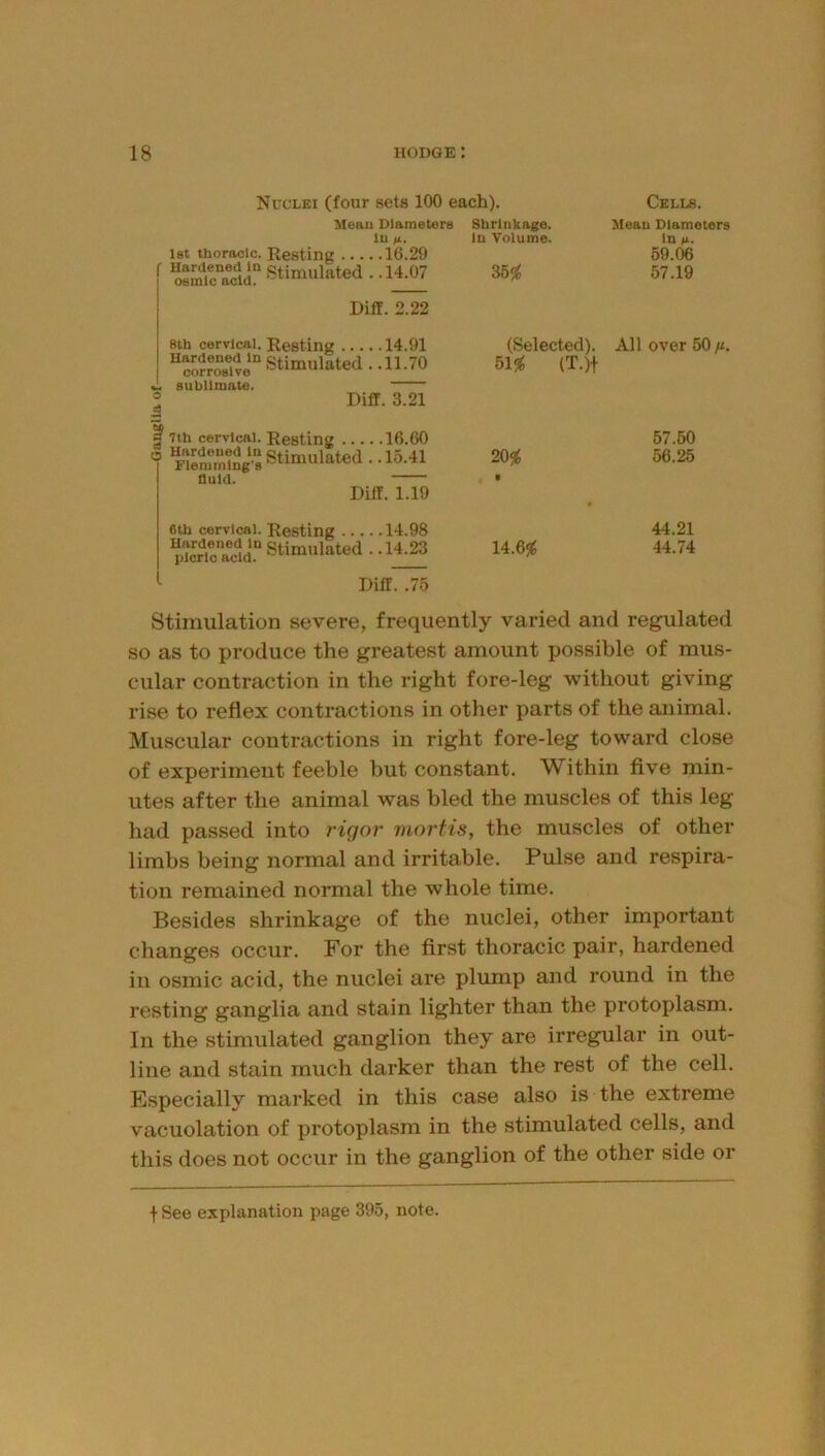 Nuclei (four sets 100 each). Cells. Meau Dlametera lu n. 1st thoracic. Resting 16.29 Sc“acld“ Stimulated . .14.07 Shrinkage. In Volume. 355^ Mean Diameters In n. 59.06 57.19 Diff. 2.22 8th cervical. Resting 14.91 “c™ive‘“ Stimulated. .11.70 •w sublimate. ° Diff. 3.21 SO (Selected). 515^ (T.)t All over 50 fi. ^ 7th cervical. Resting 16.60 fluid. Diff. 1.19 20^ t « 57.50 56.25 6th cervical. Resting 14.98 “Sd stimulated..14.23 U.6% 44.21 44.74 Diff. .75 Stimulation severe, frequently varied and regulated so as to produce the greatest amount possible of mus- cular contraction in the right fore-leg without giving rise to reflex contractions in other parts of the animal. Muscular contractions in right fore-leg toward close of experiment feeble but constant. Within five min- utes after the animal was bled the muscles of this leg had passed into rigor mortis, the muscles of other limbs being normal and irritable. Pulse and respira- tion remained normal the whole time. Besides shrinkage of the nuclei, other important changes occur. For the first thoracic pair, hardened in osmic acid, the nuclei are plump and round in the resting ganglia and stain lighter than the protoplasm. In the stimulated ganglion they are irregular in out- line and stain much darker than the rest of the cell. Especially marked in this case also is the extreme vacuolation of protoplasm in the stimulated cells, and this does not occur in the ganglion of the other side or t See explanation page 395, note.