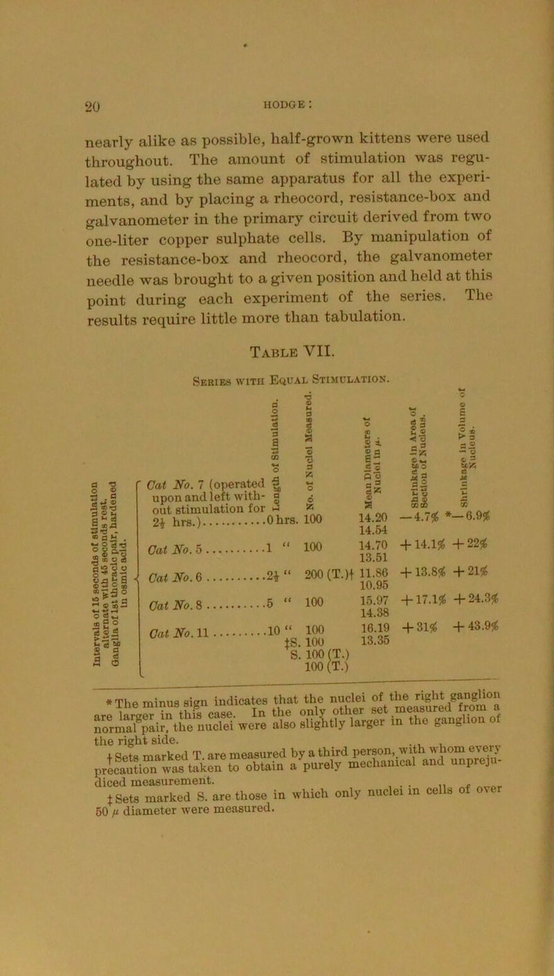 ‘20 nearly alike as possible, half-grown kittens were used throughout. The amount of stimulation was regu- lated by using the same apparatus for all the experi- ments, and by placing a rheocord, resistance-box and galvanometer in the primary circuit derived from two one-liter copper sulphate cells. By manipulation of the resistance-box and rheocord, the galvanometer needle was brought to a given position and held at this point during each experiment of the series. The results require little more than tabulation. Table VII. Series with Equal Stimulation. § % s .« S «13 3 P ^ 0 ^ S ^ •> 03 g f-i O S § ud ^ S ® 5 2 ® fl o sS® <0 5^ ^ (S ^ © o d 5 M c a o *3 a CQ O Cat No. 7 (operated upon and left with- g out stimulation for 2i hrs.) Ohrs. Cat No. 5 1 “ Cat No. 6 “ CatNo.% 5 “ Cat No. n 10 “ *1 •3 O h 3 n o: <t> a o ■3 3 !« o £ . |S 2 o S'® a 14.20 14.54 14.70 13.51 200 (T.)t 11.86 10.95 o S5 100 100 100 100 100 100 (T.) 100 (T.) © 3 ■< w Hk © M C u S3 - © B 2 « a 2 — *3 © P S'® 15.97 14.38 16.19 13.35 — 4.75t + U.H +225^ -f 13.8^ -1-215^ + 17.1^ -1-24.35^ -1- ZH + 43.95^ *ThP minus sijin indicates that the nuclei of the right ganglion the right side. 4. «4pts marked T are measured by a third person, with whom every ,,,Laa?irwaTtokS S obtaln a V^y mechamcal and nnpreju- diced measurement. . tSets marked S. are those in which only nuclei m cells of ov 50 diameter were measured.