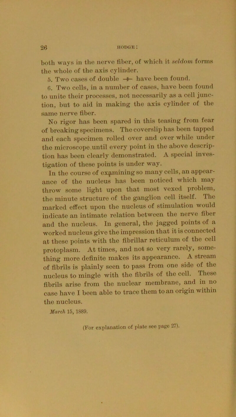 both ways in tlie nerve fiber, of which it seldom foiins the whole of the axis cylinder. 5, Two cases of double hi- have been found. 6. Two cells, in a number of cases, have been found to unite their processes, not necessarily as a cell junc- tion, but to aid in making the axis cylinder of the same nerve fiber. No rigor has been spared in this teasing from fear of breaking specimens. The coverslip has been tapped and each specimen rolled over and over while under the microscope.until every point in the above descrip- tion has been clearly demonstrated. A special inves- tigation of these points is under way. In the course of examining so many cells, an appear- ance of the nucleus has been noticed which may throw some light upon that most vexed problem, the minute structure of the ganglion cell itself. The marked effect upon the nucleus of stimulation would indicate an intimate relation between the nerve fiber and the nucleus. In general, the jagged points of a worked nucleus give the impression that it is connected at these points with the fibrillar reticulum of the cell protoplasm. At times, and not so very rarely, some- thing more definite makes its appearance. A stream of fibrils is plainly seen to pass from one side of the nucleus to mingle with the fibrils of the cell. These fibrils arise from the nuclear membrane, and in no case have I been able to trace them to an origin within the nucleus. March 15, 1889. (For explanation of plate see page 27).