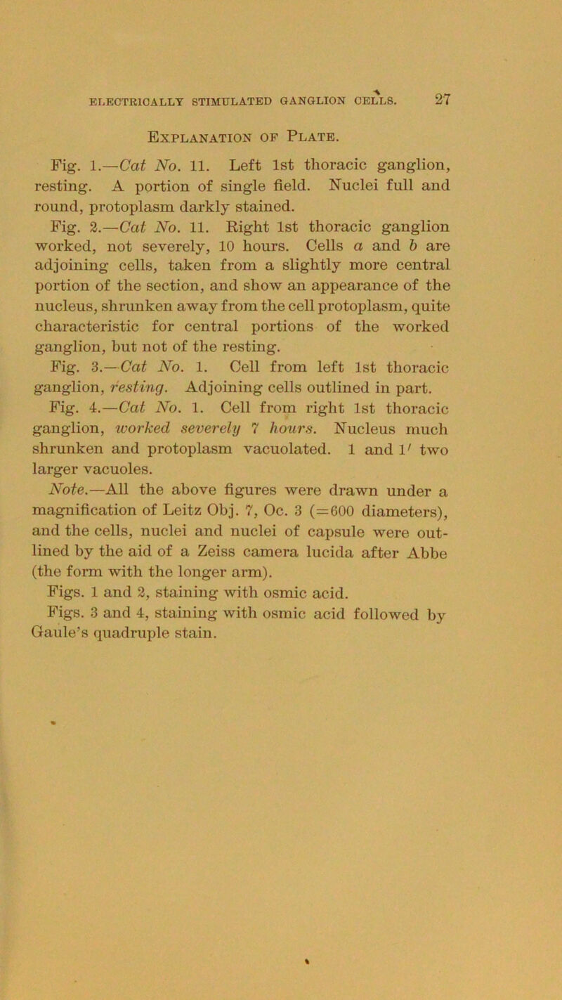 Explanation of Plate. Pig. 1.—Cat No. 11. Left 1st thoracic ganglion, resting. A portion of single field. Nuclei full and round, protoplasm darkly stained. Fig. 2.—Cat No. 11. Right 1st thoracic ganglion worked, not severely, 10 hours. Cells a and b are adjoining cells, taken from a slightly more central portion of the section, and show an appearance of the nucleus, shrunken away from the cell protoplasm, quite characteristic for central portions of the worked ganglion, but not of the resting. Fig. 3.—Cat No. 1. Cell from left 1st thoracic ganglion, resting. Adjoining cells outlined in part. Fig. 4.—Cat No. 1. Cell from right 1st thoracic ganglion, ivorked severely 7 hours. Nucleus much shrunken and protoplasm vacuolated. 1 and 1' two larger vacuoles. Note.—All the above figures were drawn under a magnification of Leitz Obj. 7, Oc. 3 (=600 diameters), and the cells, nuclei and nuclei of capsule were out- lined by the aid of a Zeiss camera lucida after Abbe (the form with the longer arm). Figs. 1 and 2, staining with osmic acid. Figs. 3 and 4, staining with osmic acid followed by Gaule’s quadruple stain.
