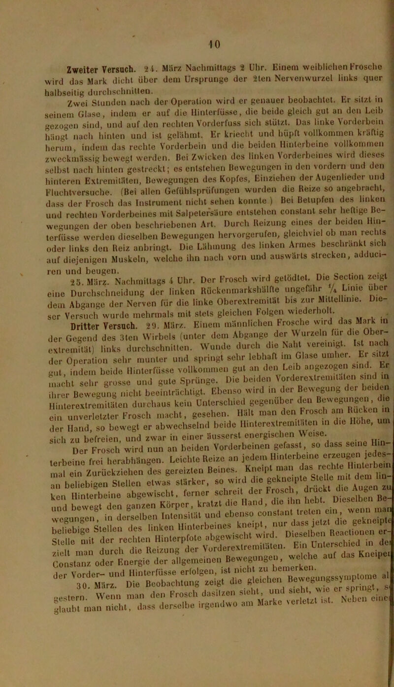 Zweiter Versuch. 24. März Nachmittags 2 Uhr. Einem weiblichen Frosche wird das Mark dicht über dem Ursprünge der 2len Nervenwurzel links quer halbseitig durchschnitten. Zwei Stunden nach der Operation wird er genauer beobachtet. Er sitzt in seinem Glase, indem er auf die llinterlus.se, die beide gleich gut an den Leib gezogen sind, und auf den rechten Vorderfuss sich stützt. Das linke Vorderbein hängt nach hinten und ist gelähmt. Er kriecht und hüpft vollkommen kräftig herum, indem das rechte Vorderbein und die beiden Hinterbeine vollkommen zweckmässig bewegt werden, ßei Zwicken des linken Vorderbeines wird dieses selbst nach hinten gestreckt; es entstehen Bewegungen in den vordem und den hinteren Extremitäten, Bewegungen des Kopfes, Einziehen der Augenlieder und Fluchtversuche. (Bei allen Gefühlsprüfungen wurden die Beize so angebracht, dass der Frosch das Instrument nicht sehen konnte ) Bei Betupfen des linken und rechten Vorderbeines mit Salpetersäure entstehen conslant sehr heftige Be- wegungen der oben beschriebenen Art. Durch Beizung eines der beiden Hin- terlasse werden dieselben Bewegungen hervorgerufen, gleichviel ob man rechts • l 4 a /■» hnpnlipuriL I ClOn oder links den Beiz anbringt. Die Lähmung des linken Armes beschränkt sich ... • .1 A I r-rt/il.- /V n — auf diejenigen Muskeln, welche ihn nach vorn und auswärts strecken, adduci- ren und beugen. , . . 25. März. Nachmittags 4 Uhr. Der Frosch wird gelodtel. Die Section zeigt eine Durchschneidung der linken Bückenmarkshälfte ungefähr /* Lime über dem Abgänge der Nerven für die linke Oberextremität bis zur Mittellinie. Die- ser Versuch wurde mehrmals mit stets gleichen Folgen wiederholt. Dritter Versuch. 29. März. Einem männlichen Frosche wird das Mark in der Gegend des 3len Wirbels (unter dem Abgänge der Wurzeln für die Ober- exlremität) links durchschnitten. Wunde durch die Naht vereinigt. Ist nach der Operation sehr munter und springt sehr lebhaft im Glase umher. Er gut indem beide Hinterfüsse vollkommen gut an den Leib angezogen sine. macht sehr grosse und gute Sprünge. Die beiden Vorderextrem.lafen sind in ihrer Bewegung nicht beeinträchtigt. Ebenso wird in der Bewegung de. beiden Hinterextremitäten durchaus kein Unterschied gegenüber den Bewegungen ein unverletzter Frosch macht, gesehen. Hält man den Frosch am Rucken *n der Hand, so bewegt er abwechselnd beide Hinterextremitäten m die Hohe, um sich zu befreien und zwar in einer äusserst energischen Weise. Der Frosch wird nun an beiden Vorderbeinen gefasst, so dass seine h - terbeine frei herabhängen. Leichte Reize an jedem Hinterbeine erzeugen jedes n d ein Zurückziehen des gereizten Beines. Kneipt man das rechte Hinterbein 11 be iebi^S Illen etwa! stärker, so wird die gekneipte Stelle mit dem lm „tinÄ“abgewisch., ferner sehreif der Frosch und bewegt den ganzen Körper, kratzt die Hand, die ihn hebt. Dieselbe -| wegungen, in derselben Intensität und ebenso constant treten en