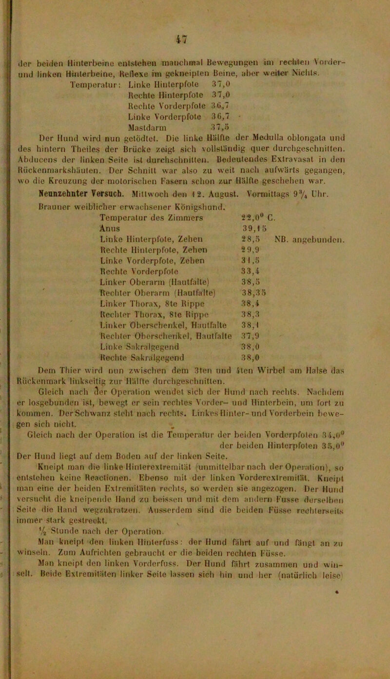 der beiden Hinterbeine entstehen manchmal Bewegungen im rechten Yorder- und linken Hinterbeine, Kellexe im gekneipten Beine, aber weiter Nichts. Temperatur: Linke Hinterpfote 37,0 Hechte Hinterpfote 37,0 Hechte Vorderpfote 3 0,7 Linke Vorderpfote 3 6,7 Masldarm 37,5 Der Hund wird nun getödtet. Die linke Hiilfle der Meduila oblongata und des hintern Theiles der Brücke zeigt sich vollständig quer durchgeschnilten. Abducens der linken Seite ist durchschnitten. Bedeutendes Extravasal in den Riickonmarkshäuten. Der Schnitt war also zu weit nach aufwärts gegangen, wo die Kreuzung der motorischen Fasern schon zur Hälfte geschehen war. Neunzehnter Versuch. Mittwoch den 12. August. Vormittags 9% Uhr. Brauner weiblicher erwachsener Königshund. Temperatur des Zimmers 22,0° C. Anus 39,15 Linke Hinterpfote, Zehen 28,5 1 Rechte Hinterpfote, Zehen 2 9,9 Linke Vorderpfote, Zehen 31,5 Rechte Vorderpfote 33,4 Linker Oberarm (Hautfalte) 38,5 Rechter Oberarm (Hautfalte) 38,35 Linker Thorax, 8te Rippe 38,4 Rechter Thorax, 8te Rippe 3 8,3 Linker Oberschenkel, Hautfalte 38,1 Rechter Oberschenkel, Hautfalte 37,9 Linke Sakralgegend 3 8,0 Rechte Sakralgegend 3 8,0 NB. angebunden. Dem Thier wird nun zwischen dem 3ten und ilen Wirbel am Halse das Rückenmark linkseitig zur Hälfte durchgeschnitten. Gleich nach der Operation wendet sich der Hund nach rechts. Nachdem er losgebunden ist, bewegt er sein rechtes Vorder- und Hinterbein, um fort zu kommen. DerSchwanz stellt nach rechts. Linkes Hinter-und Vorderbein bewe- gen sich nicht. Gleich nach der Operation ist die Temperatur der beiden Vorderpfoten 34,0° der beiden Hinterpfoten 35,Q® Der Hund liegt auf dem Boden auf der linken Seite. Kneipt man die linke llinlerextremität (unmittelbar nach der Operation), so entstehen keine Reactionen. Ebenso mit der linken Vorderexlremitäl. Kneipt man eine der beiden Extremitäten rechts, so werden sie angezogen. Der Hund versucht die kneipende Hand zu heissen und mit dem andern Kusse derselben Seite die Hand wegztikrataen. Ausserdem sind die beiden Küsse reelllerseils immer stark gestreckt. % Stunde nach der Operation Man kneipt den linken Hinlerfuss: der Hund Fährt auf und fängt an zu winseln. Zum Aufrichten gebraucht er die beiden rechten Küsse. Man kneipt den linken Vorderfuss. Der Hund fährt zusammen und win- selt. Beide Extremitäten linker Seite lassen sich hin und her (natürlich leise