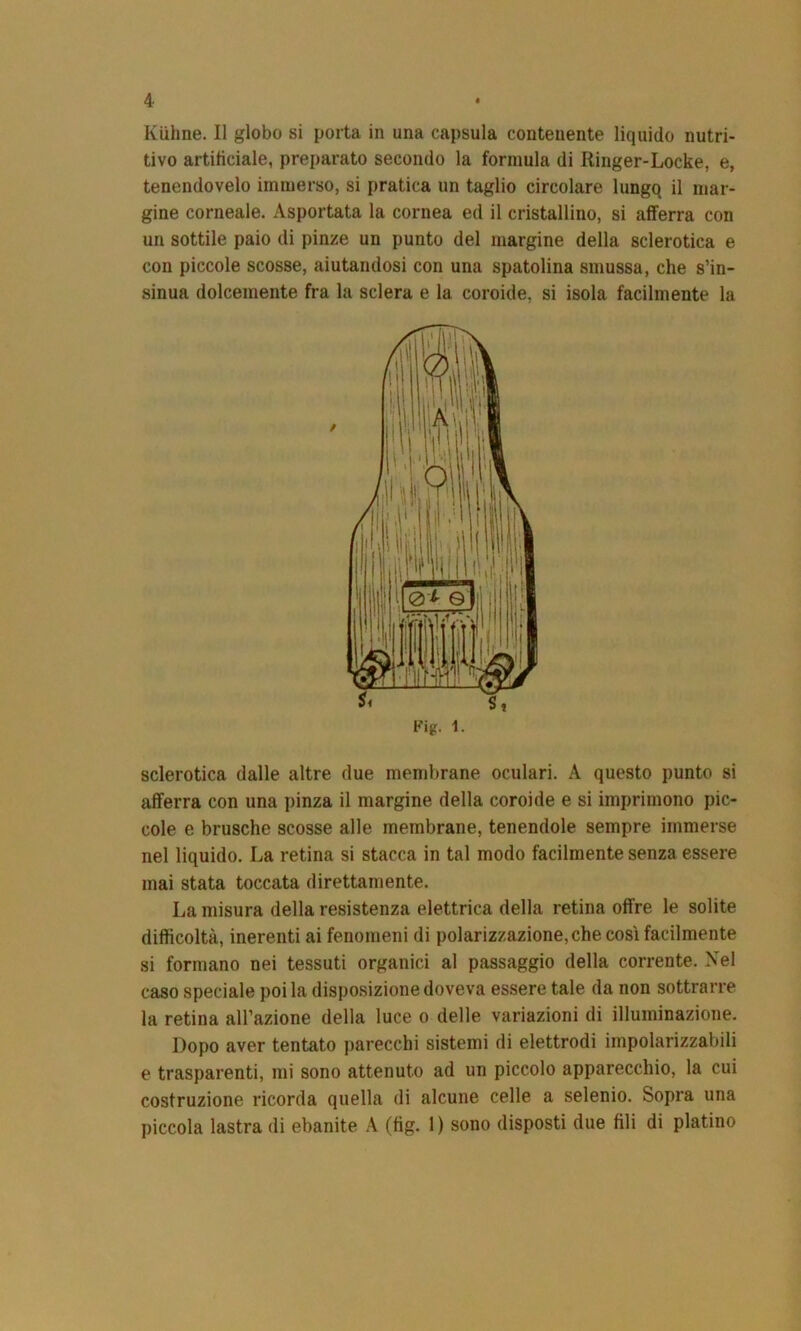 Kiihne. Il globo si porta in una capsula contenente liquido nutri- tivo artificiale, preparato secondo la formula di Ringer-Locke, e, tenendovelo immerso, si pratica un taglio circolare lungq il mar- gine corneale. Asportata la cornea ed il cristallino, si afferra con un sottile paio di pinze un punto del margine della sclerotica e con piccole scosse, aiutandosi con una spatolina smussa, che s’in- sinua dolcemente fra la sclera e la coroide, si isola facilmente la sclerotica dalle altre due membrane oculari. A questo punto si afferra con una pinza il margine della coroide e si imprimono pic- cole e brusche scosse alle membrane, tenendole sempre immerse nel liquido. La retina si stacca in tal modo facilmente senza essere mai stata toccata direttamente. La misura della resistenza elettrica della retina offre le solite difficoltà, inerenti ai fenomeni di polarizzazione, che così facilmente si formano nei tessuti organici al passaggio della corrente. Nel caso speciale poi la disposizione doveva essere tale da non sottrarre la retina all’azione della luce o delle variazioni di illuminazione. Dopo aver tentato parecchi sistemi di elettrodi impolarizzabili e trasparenti, mi sono attenuto ad un piccolo apparecchio, la cui costruzione ricorda quella di alcune celle a selenio. Sopra una piccola lastra di ebanite A (fig. 1) sono disposti due fili di platino Fig. 1.