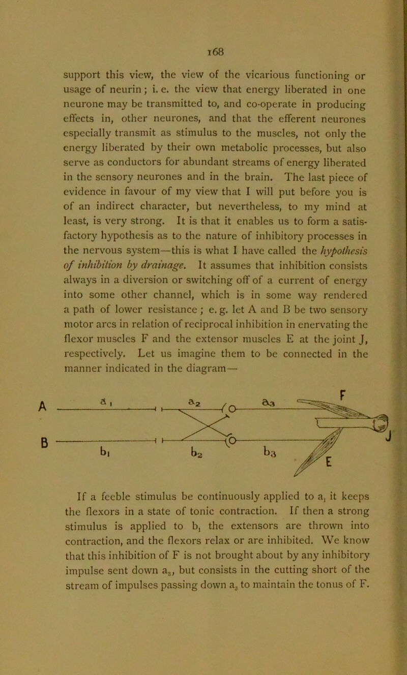 support this view, the view of the vicarious functioning or usage of neurin; i. e. the view that energy liberated in one neurone may be transmitted to, and co-operate in producing effects in, other neurones, and that the efferent neurones especially transmit as stimulus to the muscles, not only the energy liberated by their own metabolic processes, but also serve as conductors for abundant streams of energy liberated in the sensory neurones and in the brain. The last piece of evidence in favour of my view that I will put before you is of an indirect character, but nevertheless, to my mind at least, is very strong. It is that it enables us to form a satis- factory hypothesis as to the nature of inhibitory processes in the nervous s}^stem—this is what I have called the hypothesis of inhibition by drainage. It assumes that inhibition consists always in a diversion or switching off of a current of energy into some other channel, which is in some way rendered a path of lower resistance ; e. g. let A and B be two sensory motor arcs in relation of reciprocal inhibition in enervating the flexor muscles F and the extensor muscles E at the joint J, respectively. Let us imagine them to be connected in the manner indicated in the diagram— If a feeble stimulus be continuously applied to a, it keeps the flexors in a state of tonic contraction. If then a strong stimulus is applied to b, the extensors are thrown into contraction, and the flexors relax or are inhibited. We know that this inhibition of F is not brought about by any inhibitory impulse sent down ag, but consists in the cutting short of the stream of impulses passing down ag to maintain the tonus of F.